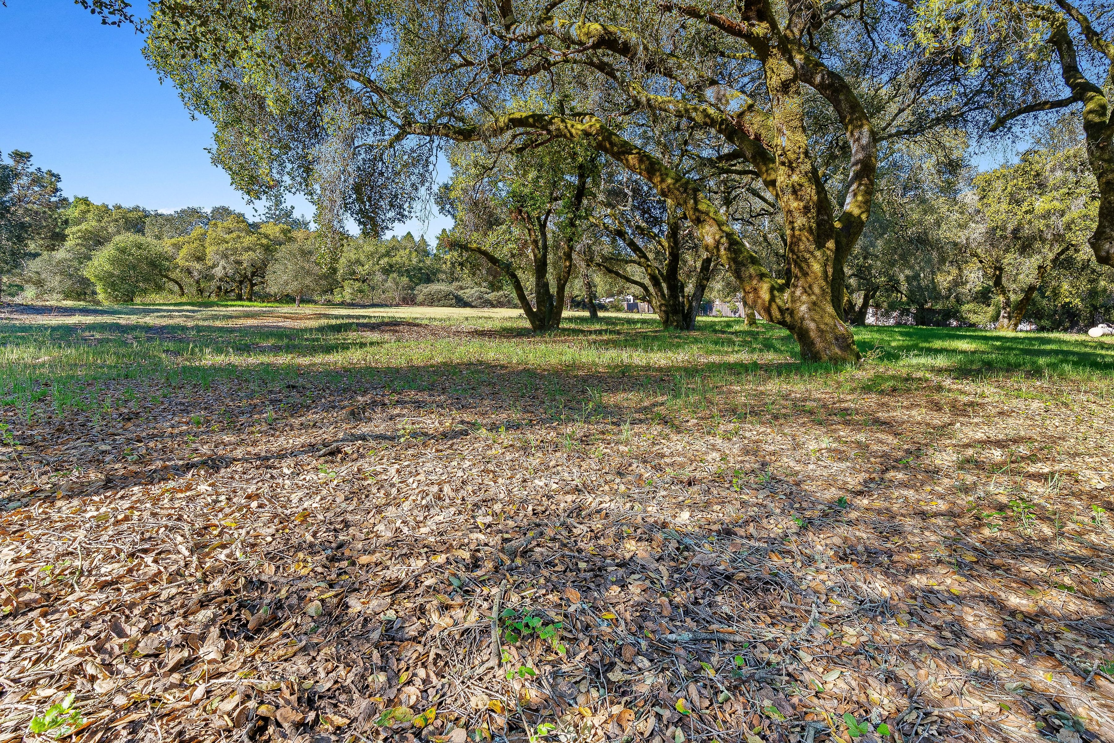  141 Whistler Court - 物件實景