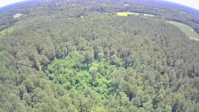 Reevesville, South Carolina, 29471, United States, ,Land,For Sale,1868815
