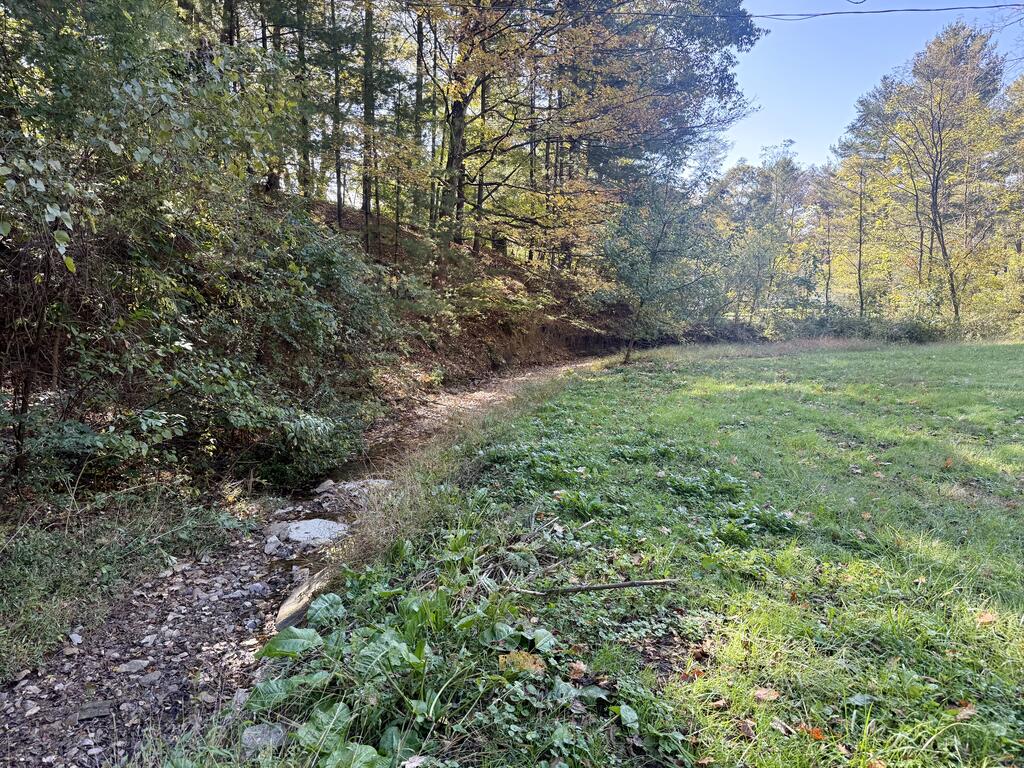 True Hollow Rd, Chillicothe, OH 45601 #1