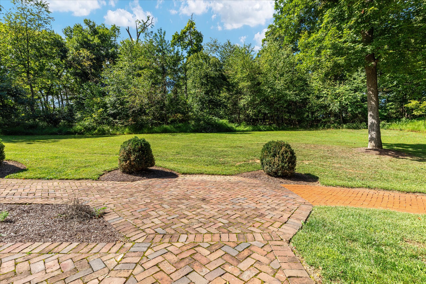  261 Merrifield Lane, Winchester, VA, 22602 - 物件實景