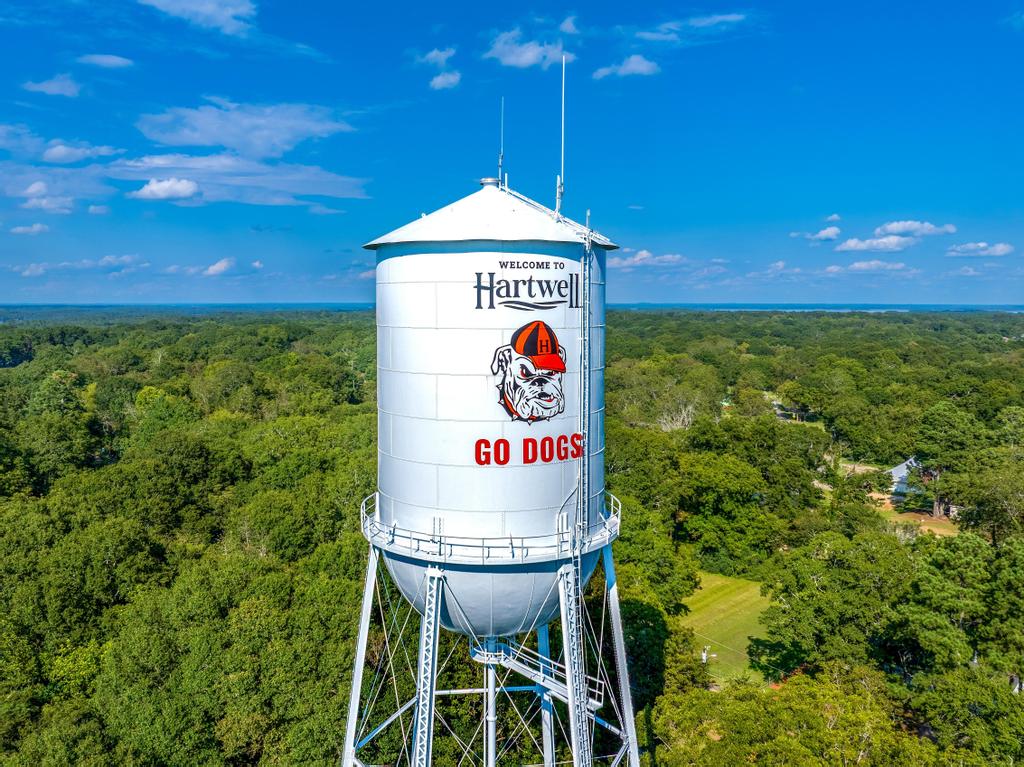 Hartwell, Georgia, 30643, United States, 4 Bedrooms Bedrooms, ,3 BathroomsBathrooms,Residential,For Sale,1989315