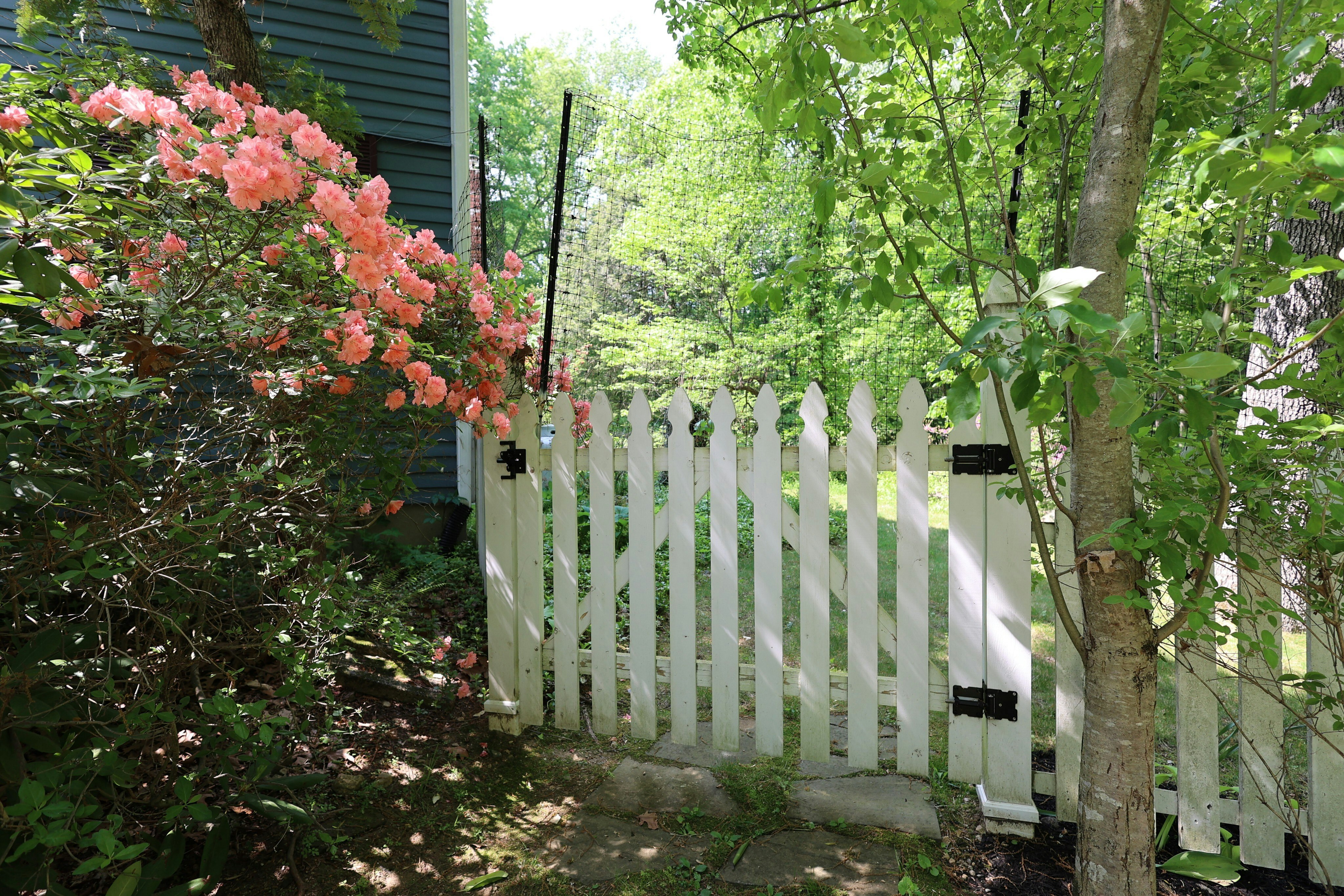  Classic New England Colonial - 物件實景