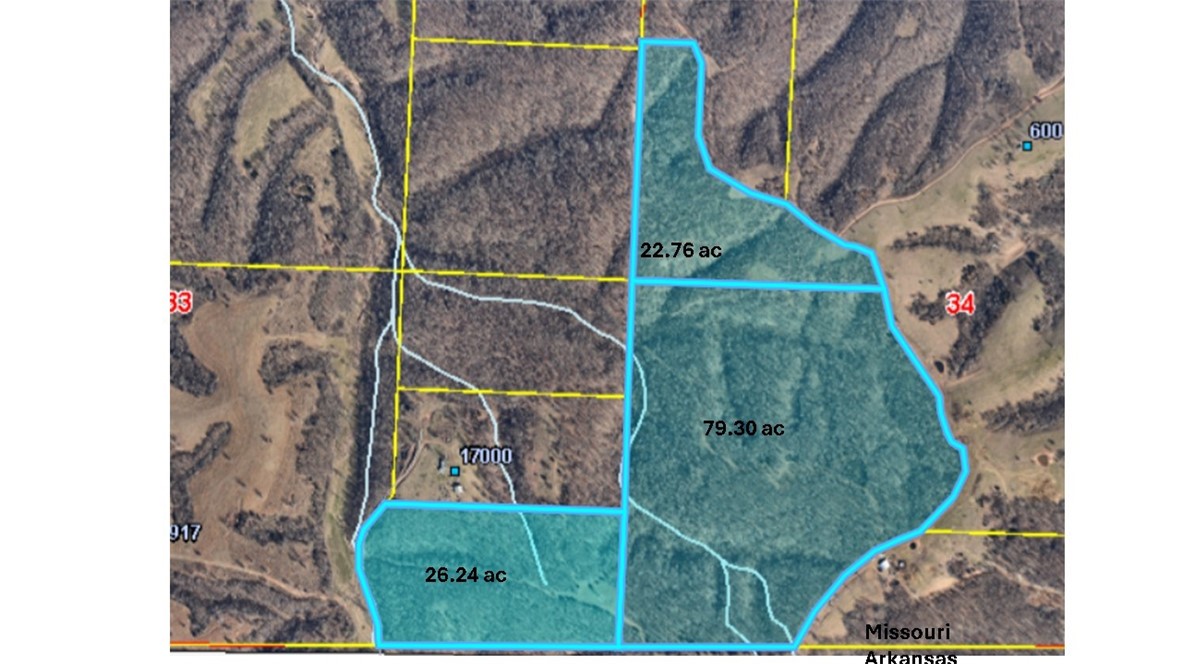 Noel, Missouri, 64854, United States, ,Land,For Sale,1785483