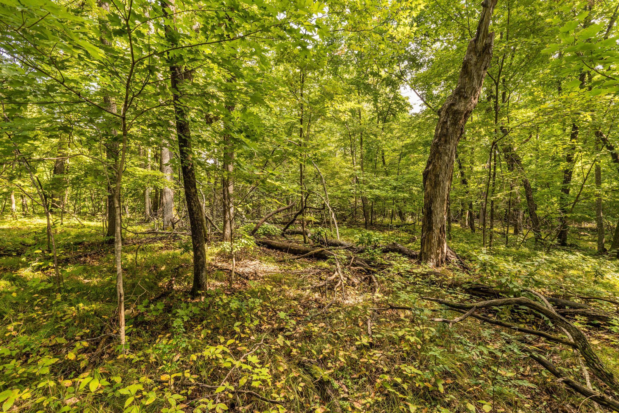 Dent, Minnesota, 56528, United States, ,Residential,For Sale,1921430