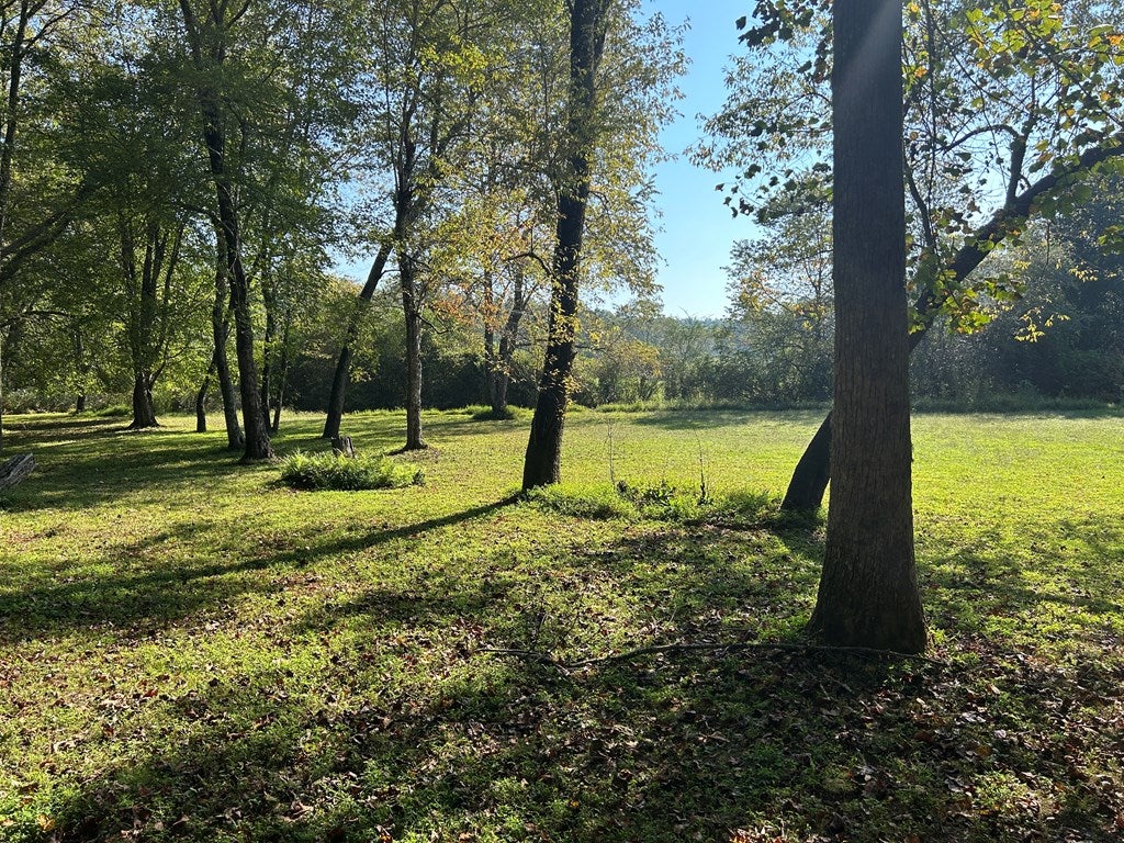 Blue Ridge, Georgia, 30513, United States, 3 Bedrooms Bedrooms, ,3 BathroomsBathrooms,Residential,For Sale,1954403