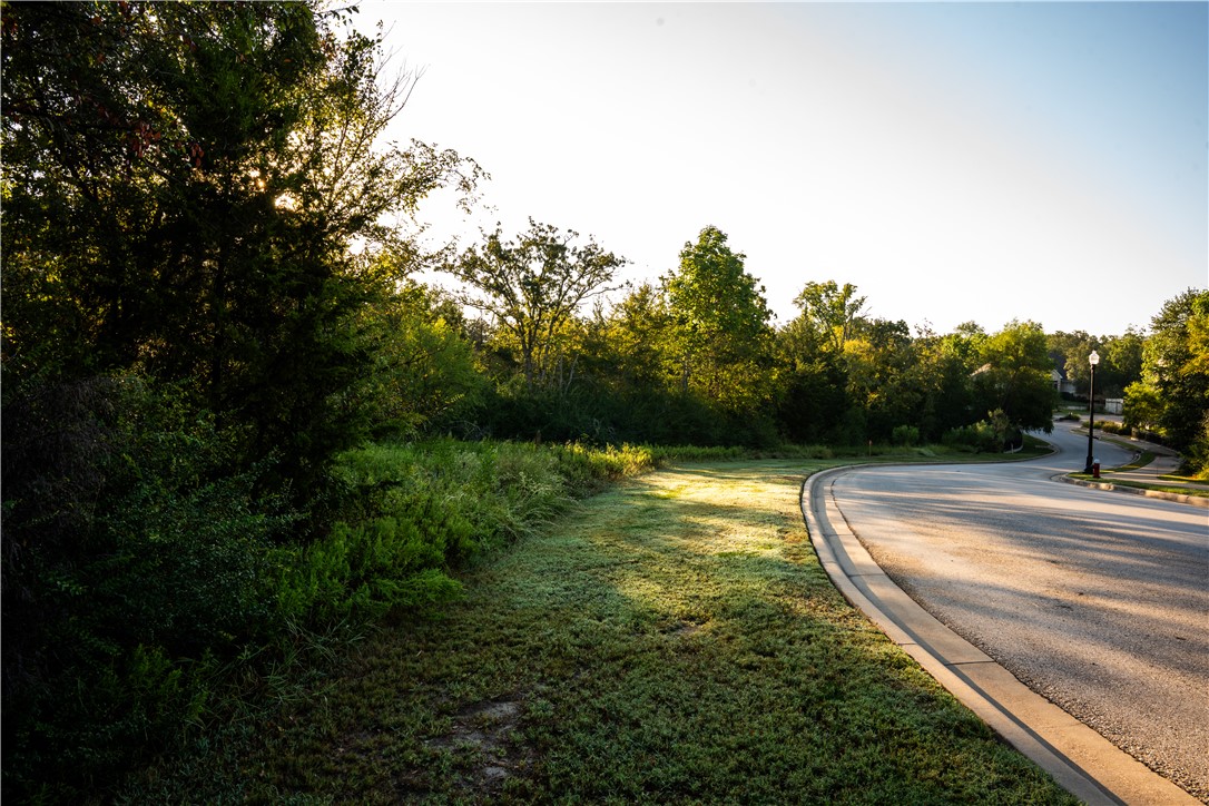 Bryan, Texas, 77807, United States, ,Land,For Sale,1933338