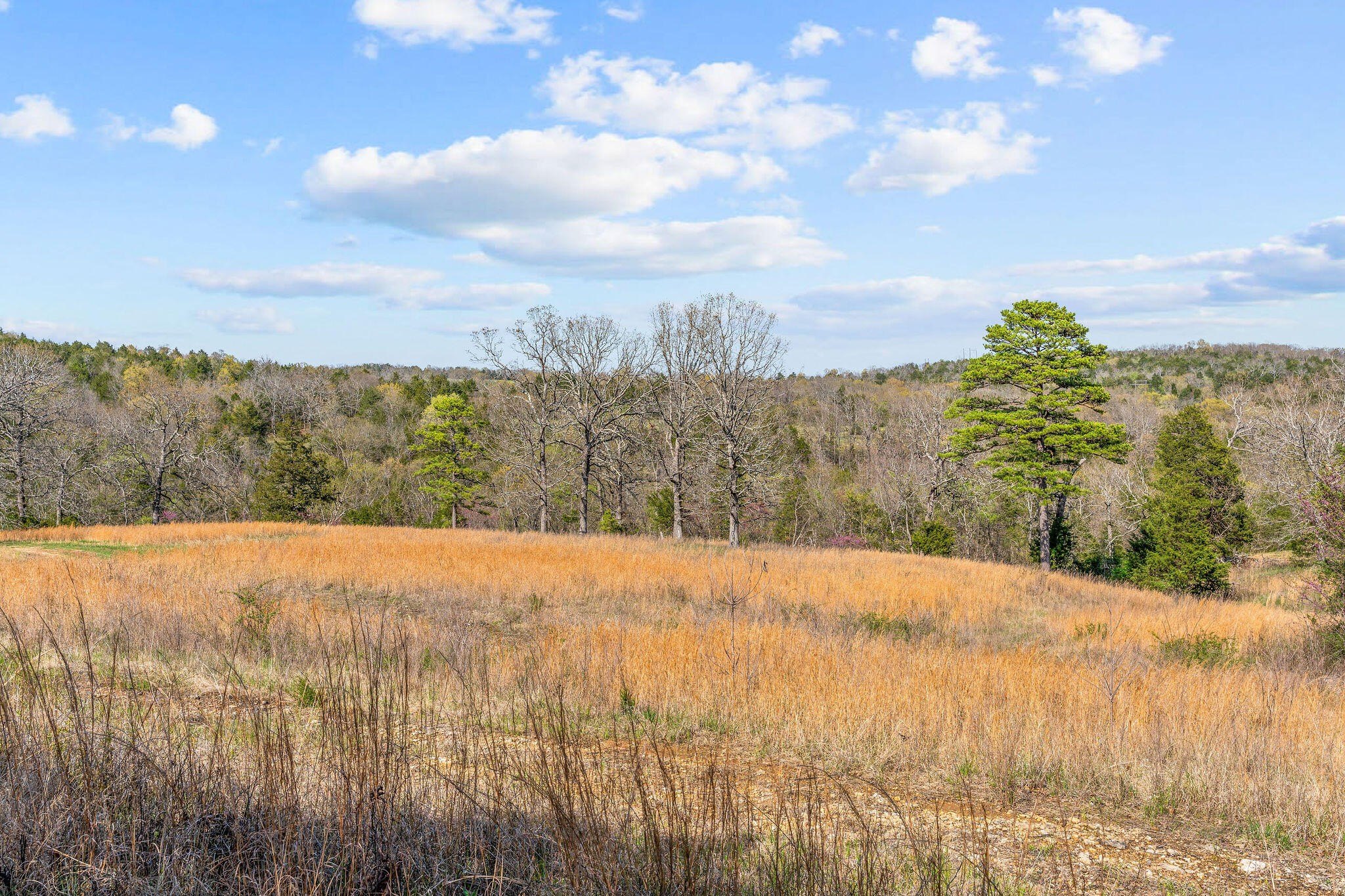 Kirbyville, Missouri, 65679, United States, ,Land,For Sale,1978892