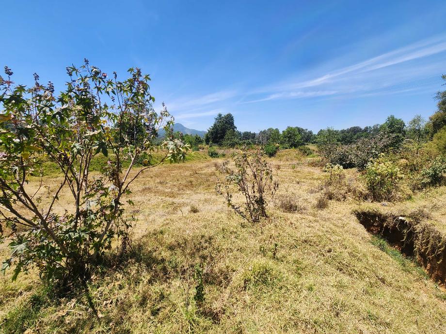 Valle de Bravo, Estado de méxico, 51200, Mexico, 1 Bedroom Bedrooms, ,Residential,For Sale,1806019