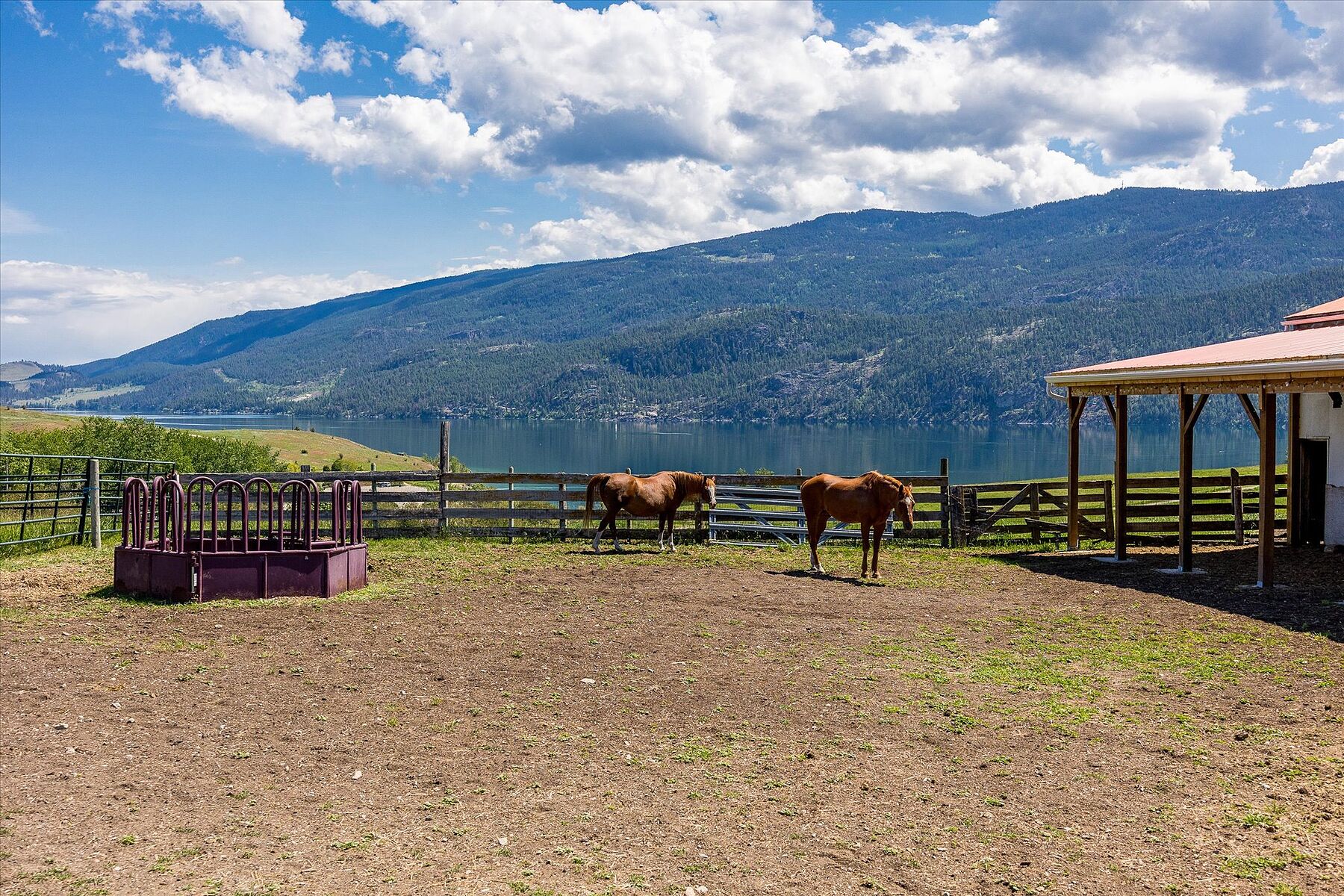  Kal-Lake Cattle - 物件實景