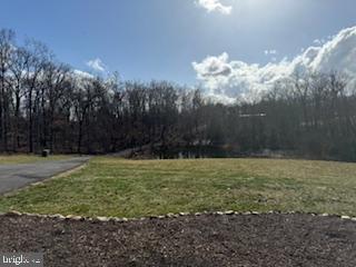Clear Brook, Virginia, 22624, United States, 4 Bedrooms Bedrooms, ,4 BathroomsBathrooms,Residential,For Sale,1921758