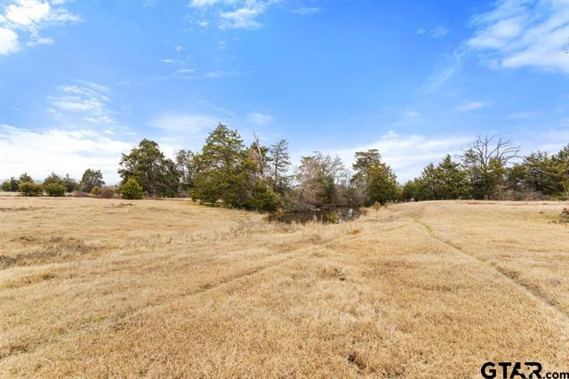 Van, Texas, 75790, United States, ,Land,For Sale,1981017