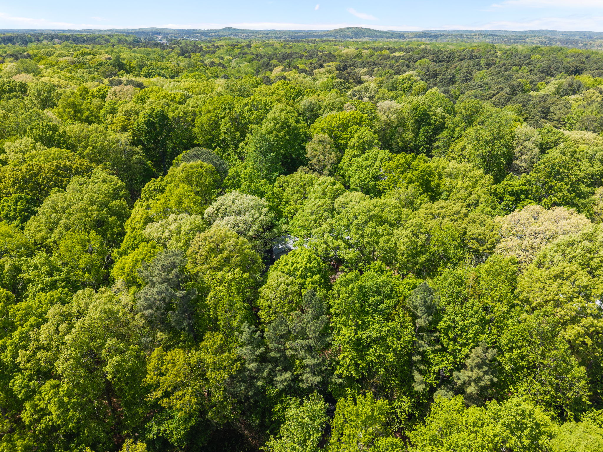  8 Sedgewood Road, Chapel Hill, NC 27514 - 物件實景