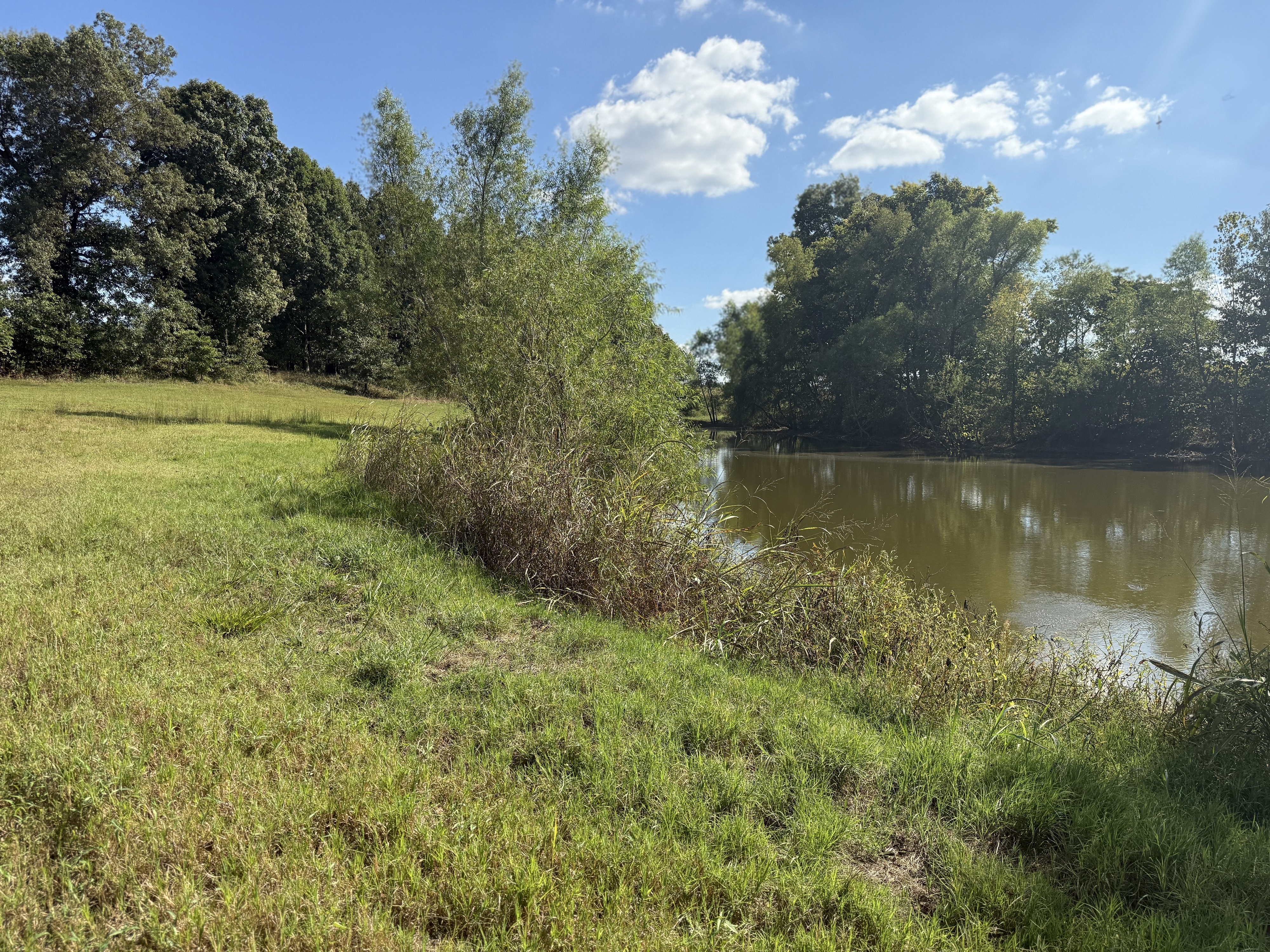 Union City, Tennessee, 38261, United States, ,Land,For Sale,1983547