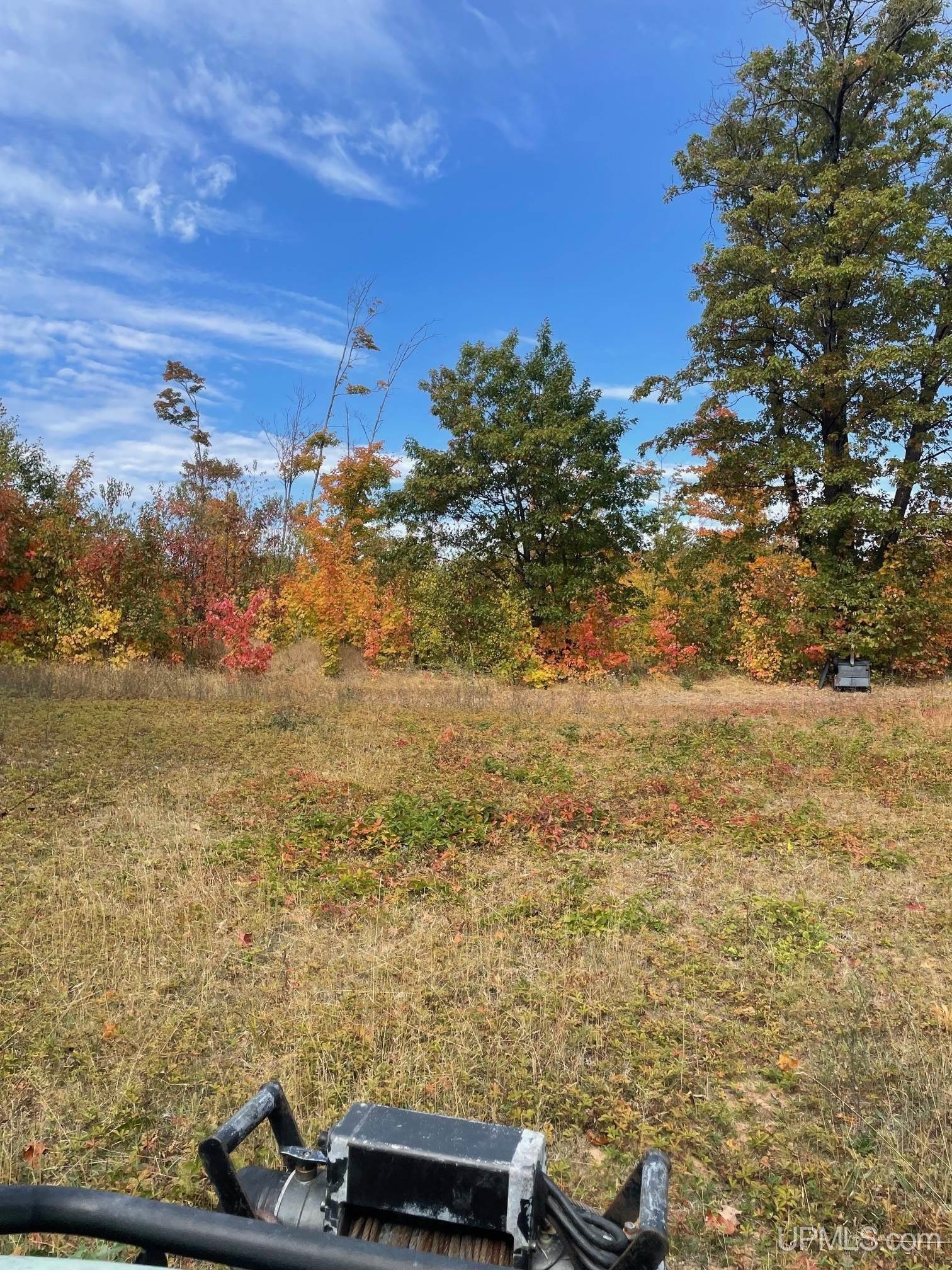 Ishpeming, Michigan, 49829, United States, ,Land,For Sale,1980384