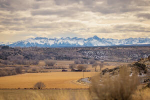 13007 Shavano Valley Rd, Montrose, Colorado, 81403, United States, 7 Bedrooms Bedrooms, ,4 BathroomsBathrooms,Residential,For Sale,13007 Shavano Valley Rd,1673126