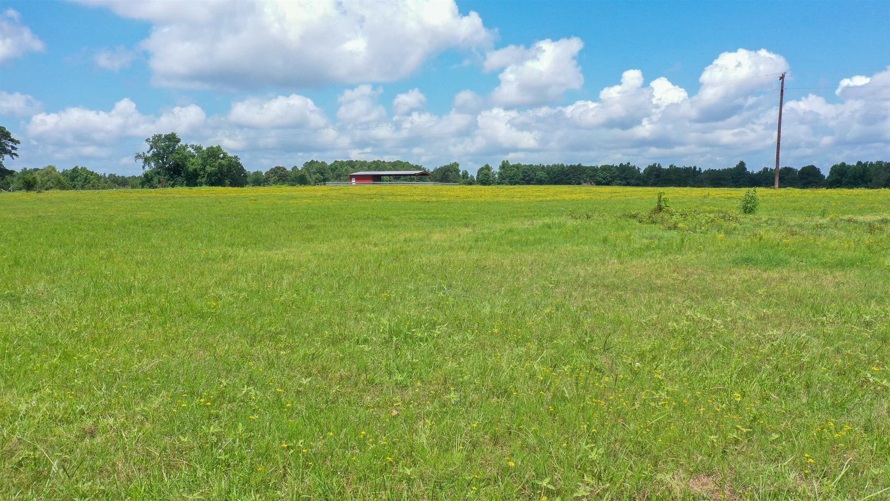 Linden, Texas, 75563, United States, ,Land,For Sale,1975448