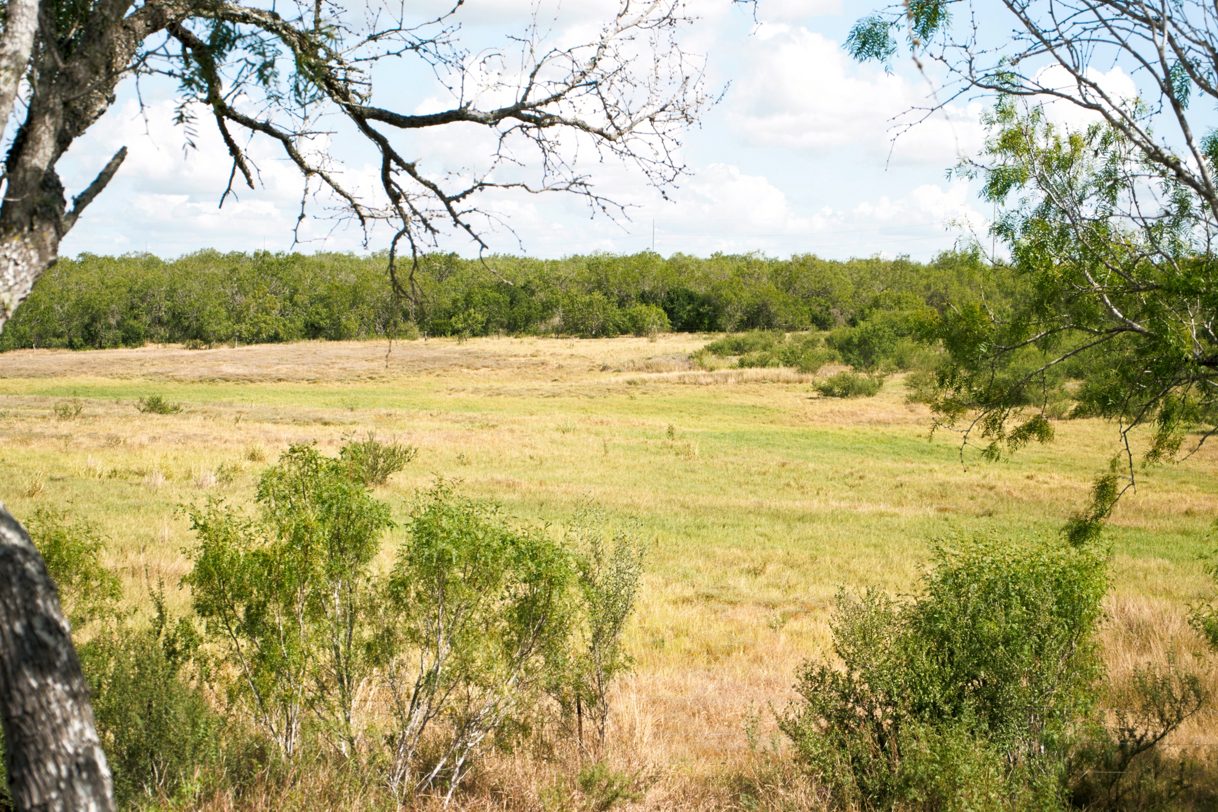  1234.89 +/- Acres, Santa Clara Ranch, Atascosa County, Falls City, TX 78113 - 物件實景