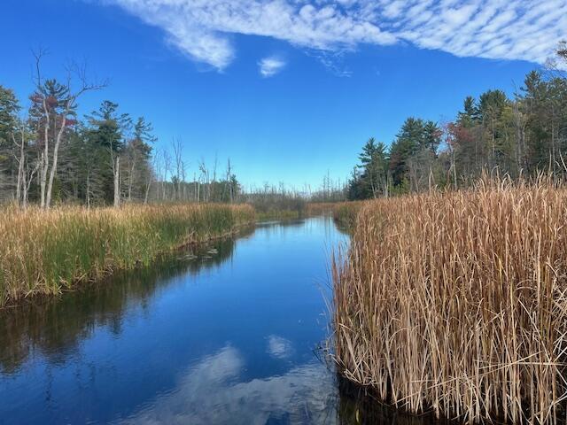 Branch, Michigan, 49402, United States, 5 Bedrooms Bedrooms, ,4 BathroomsBathrooms,Residential,For Sale,1986273