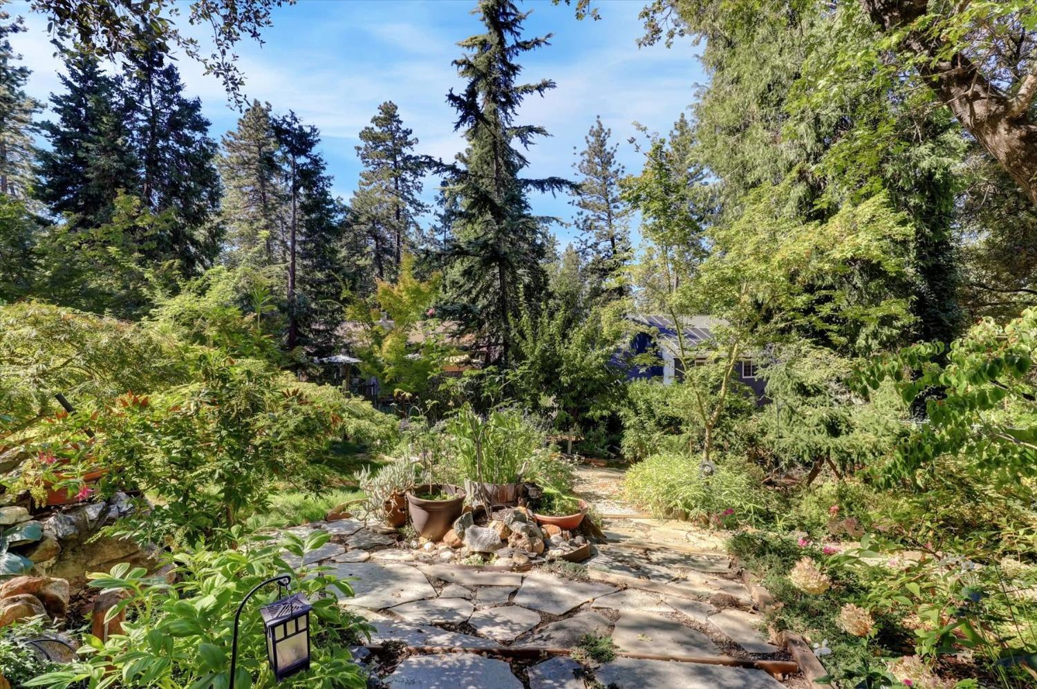 12252 Francis Drive, Grass Valley, California, 95949, United States, 3 Bedrooms Bedrooms, ,2 BathroomsBathrooms,Residential,For Sale,12252 Francis Drive,1631801