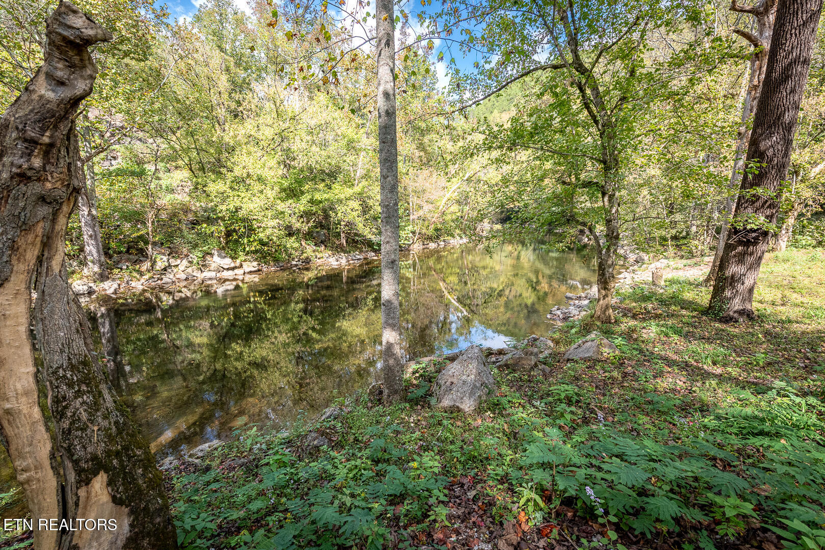 Townsend, Tennessee, 37882, United States, 1 Bedroom Bedrooms, ,1 BathroomBathrooms,Residential,For Sale,1973963