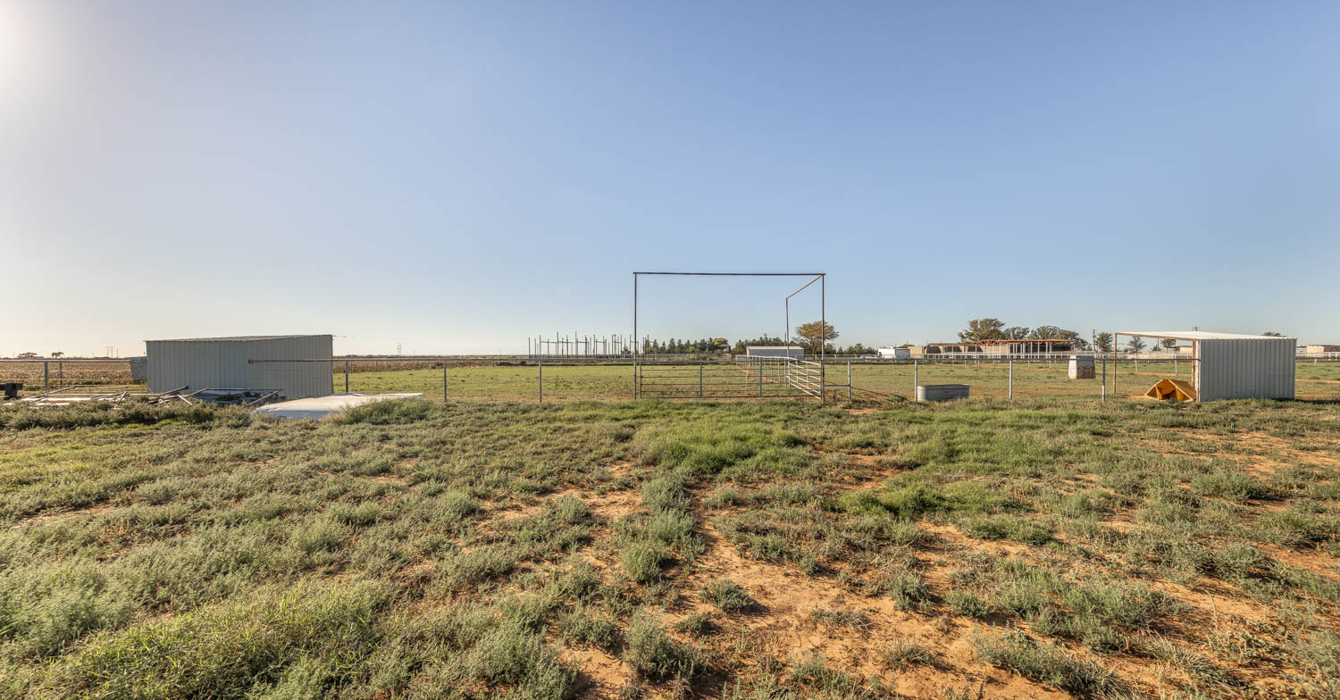 Levelland, Texas, 79336, United States, 4 Bedrooms Bedrooms, ,3 BathroomsBathrooms,Residential,For Sale,1901837