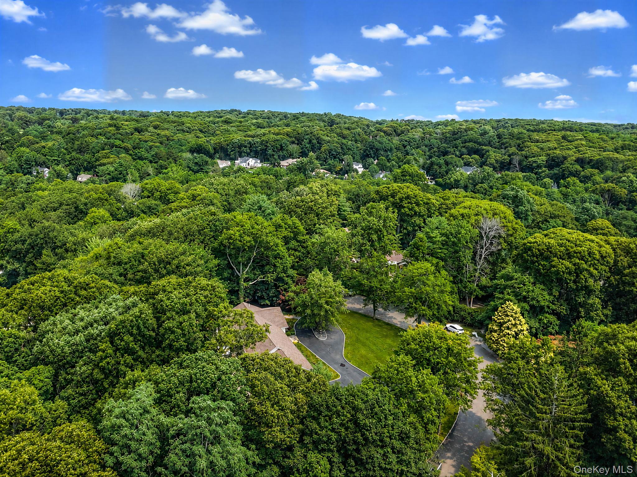  10 Williamsburg Drive, Northport, NY, 11768 - 物件實景