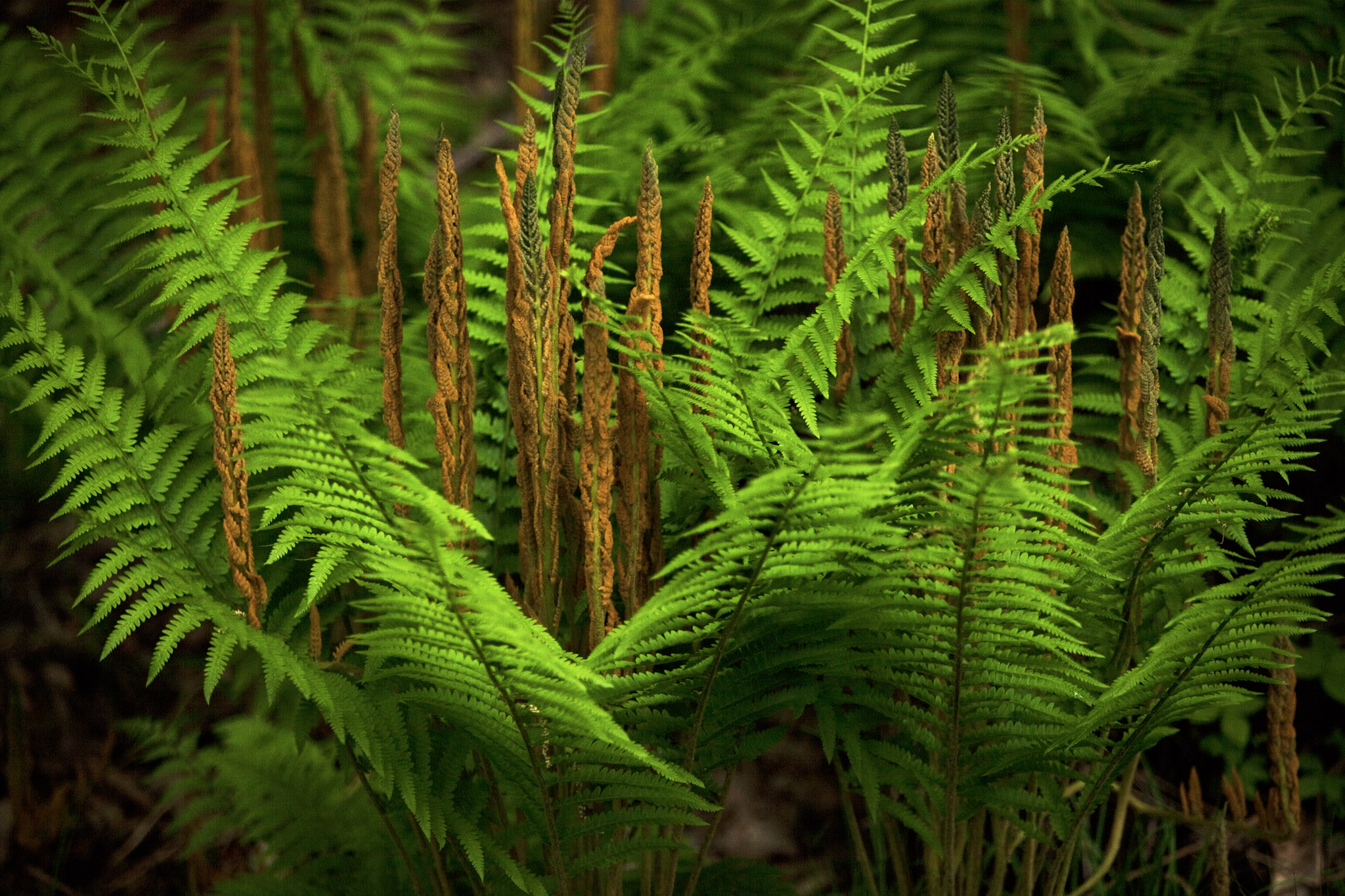 Branch, Michigan, 49402, United States, 1 Bedroom Bedrooms, ,1 BathroomBathrooms,Residential,For Sale,2001233