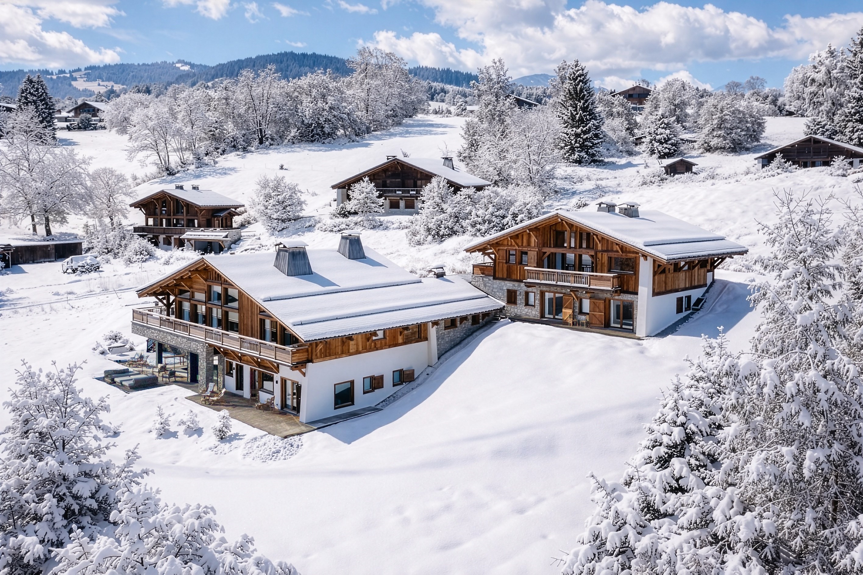  Domaine Edelweiss - Properties of Two Connected New Chalets - 物件實景