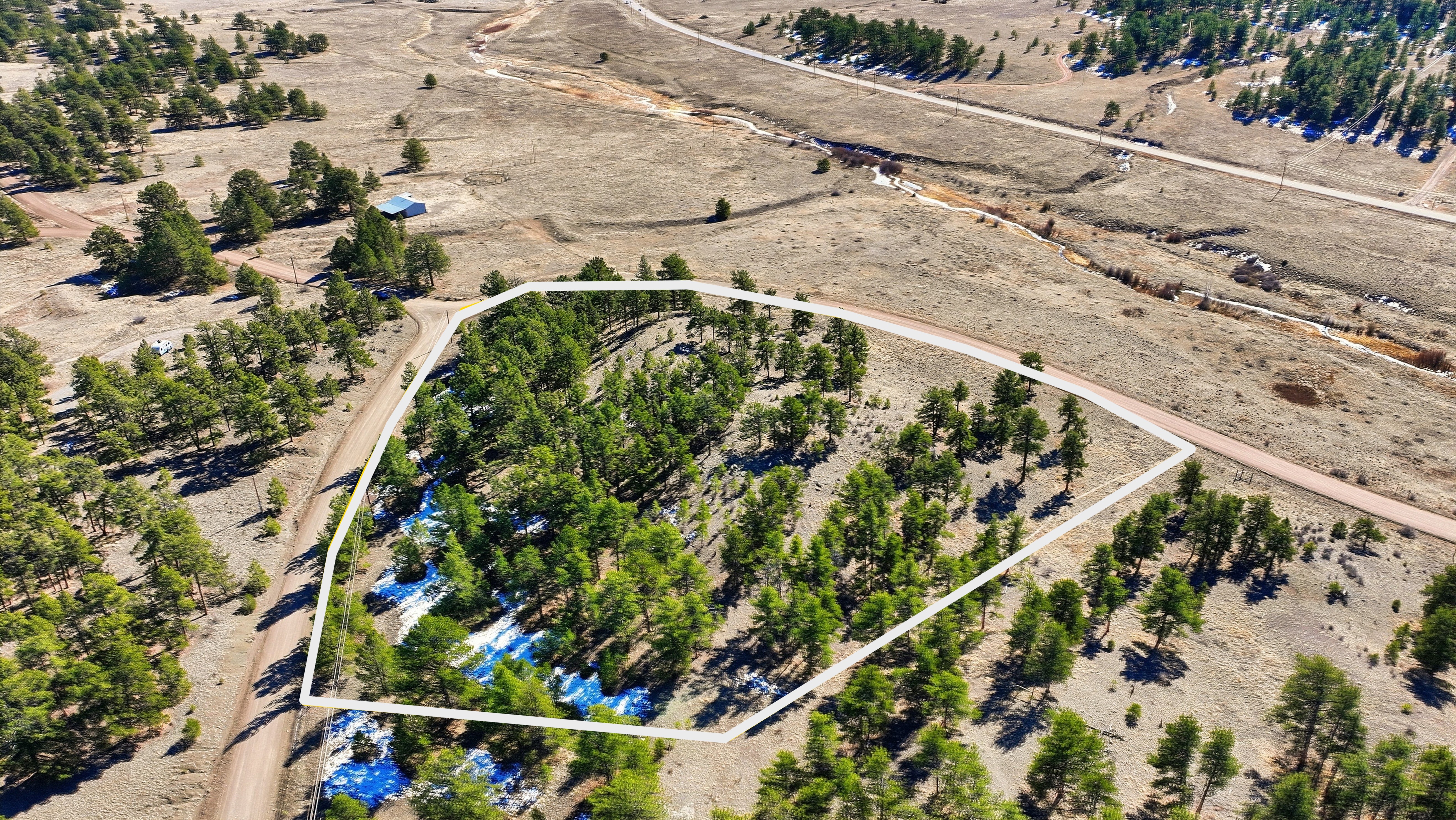  Park County Mountain Escape: 1.08 Acres Privacy & World-Class Fishing - 物件實景