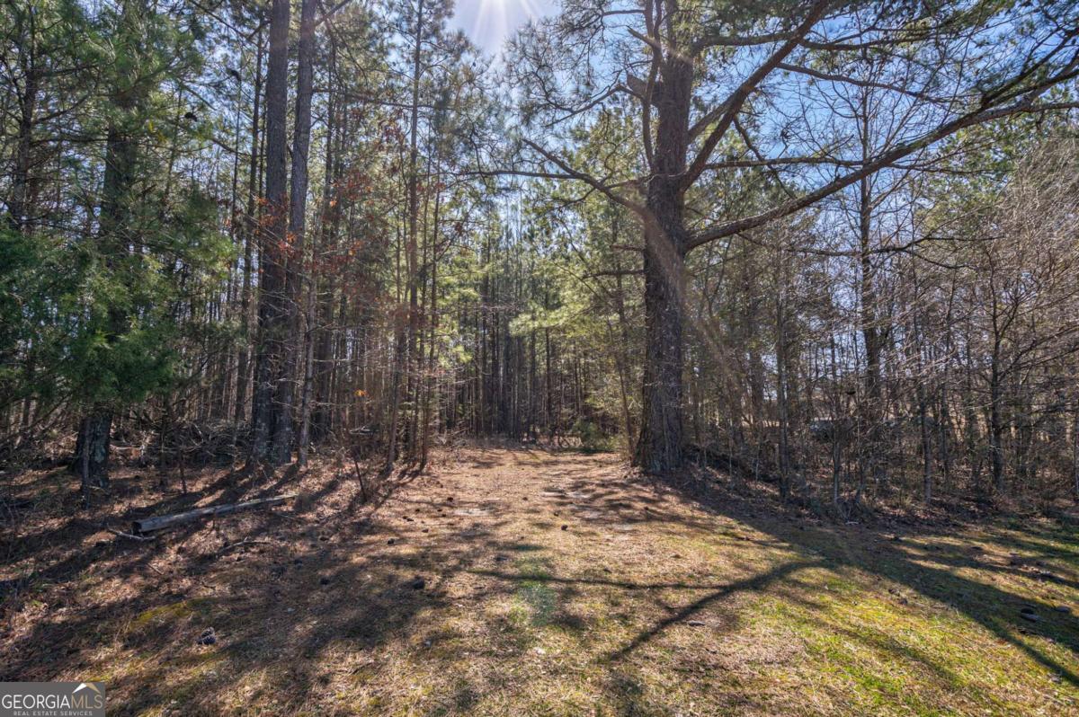 Loganville, Georgia, 30052, United States, ,Land,For Sale,1794790