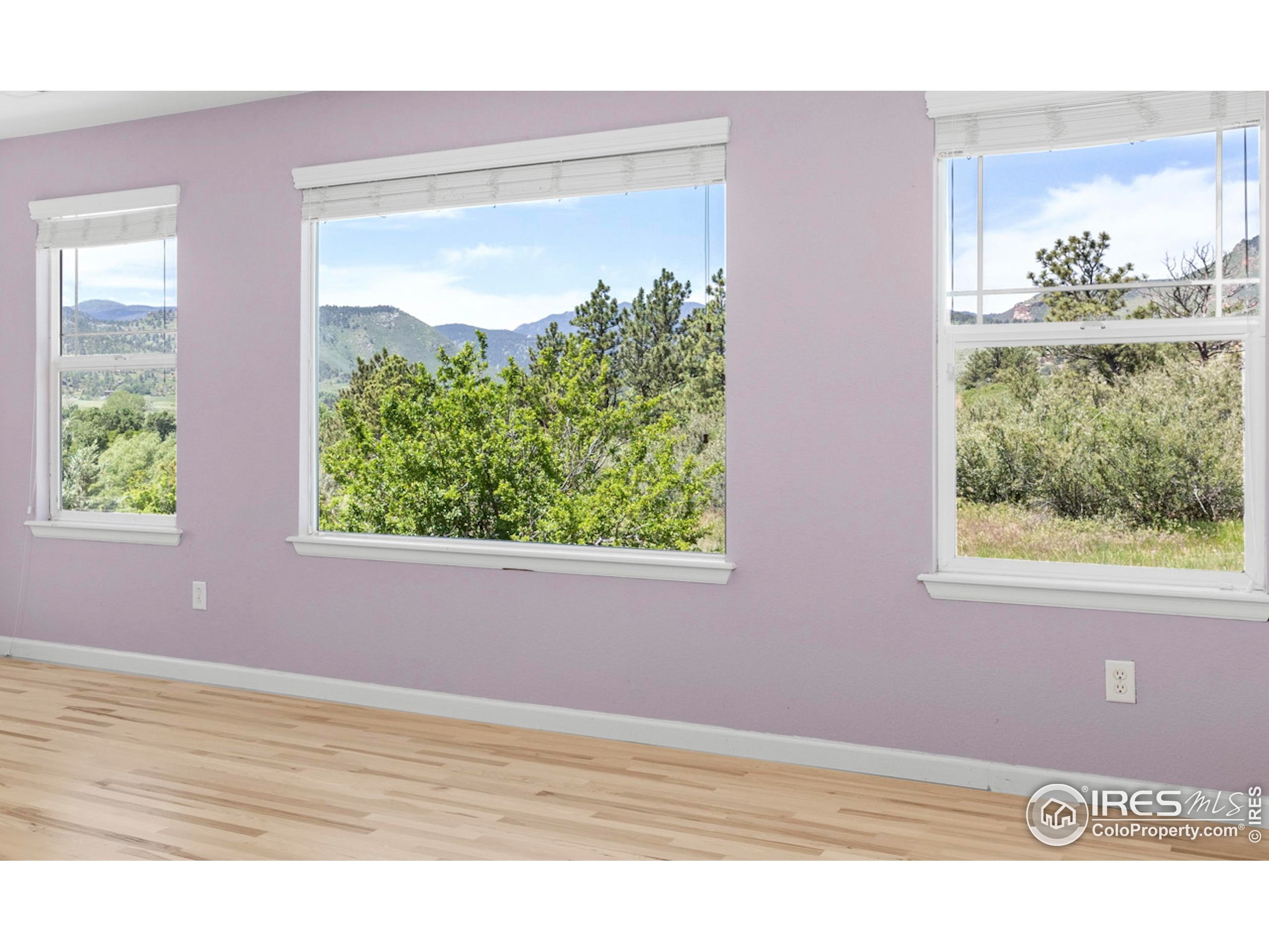 Lyons, Colorado, 80540, United States, 4 Bedrooms Bedrooms, ,3 BathroomsBathrooms,Residential,For Sale,1865994
