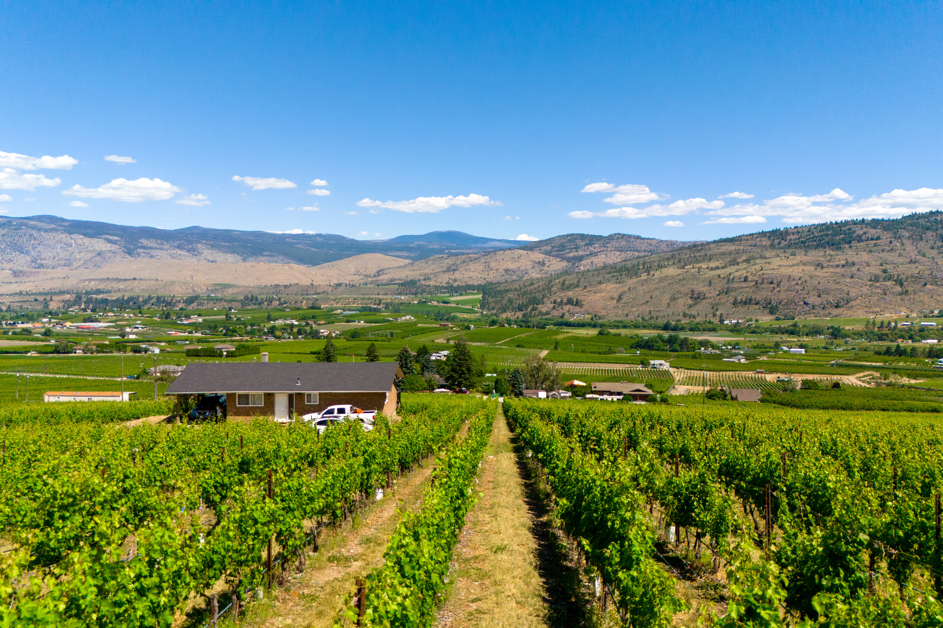  Lakefront Winery Receivership - 物件實景