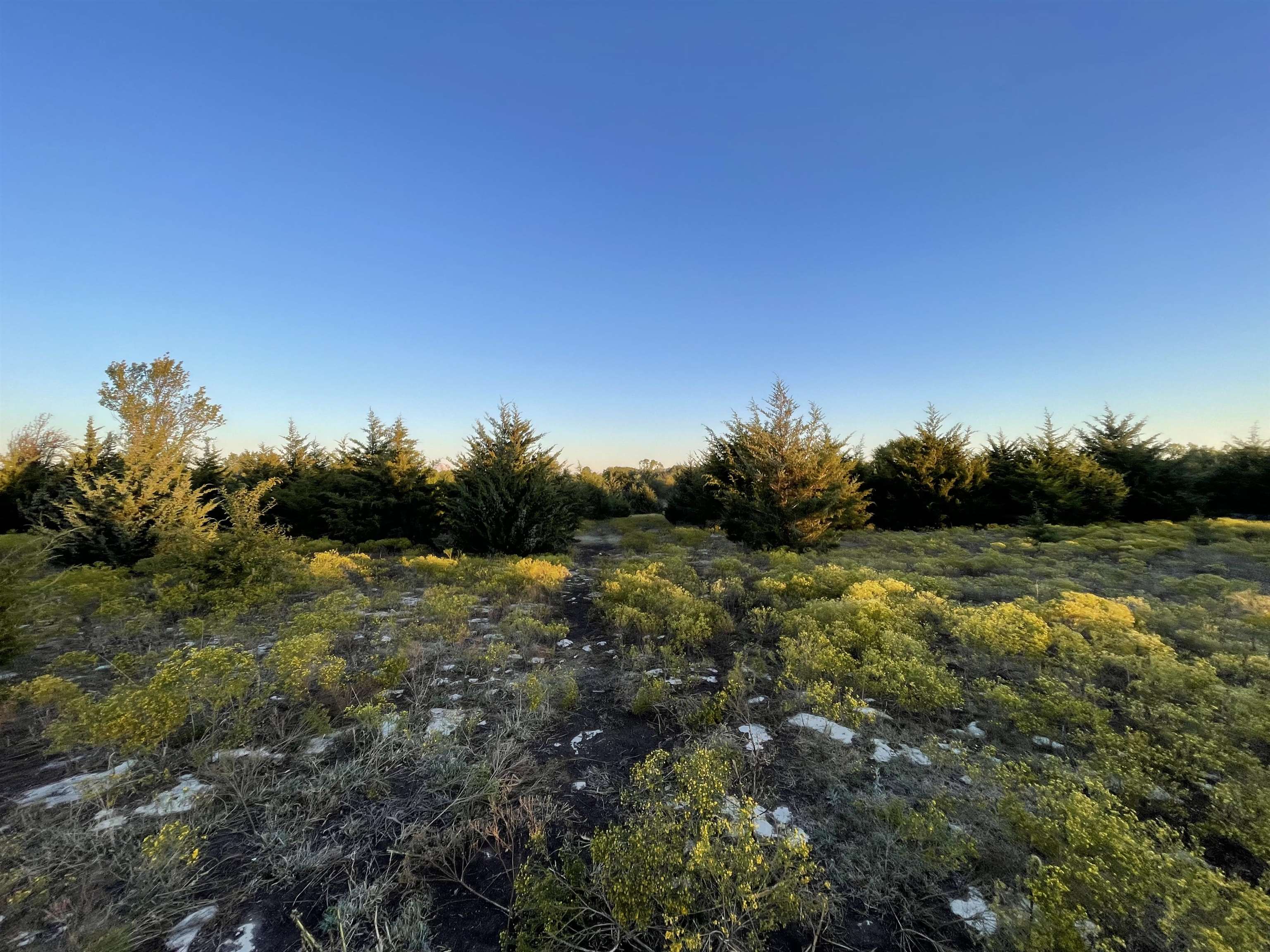 00000 SW Hwy 77, El Dorado, Kansas, 67042, United States, ,Residential,For Sale,00000 SW Hwy 77,1419987