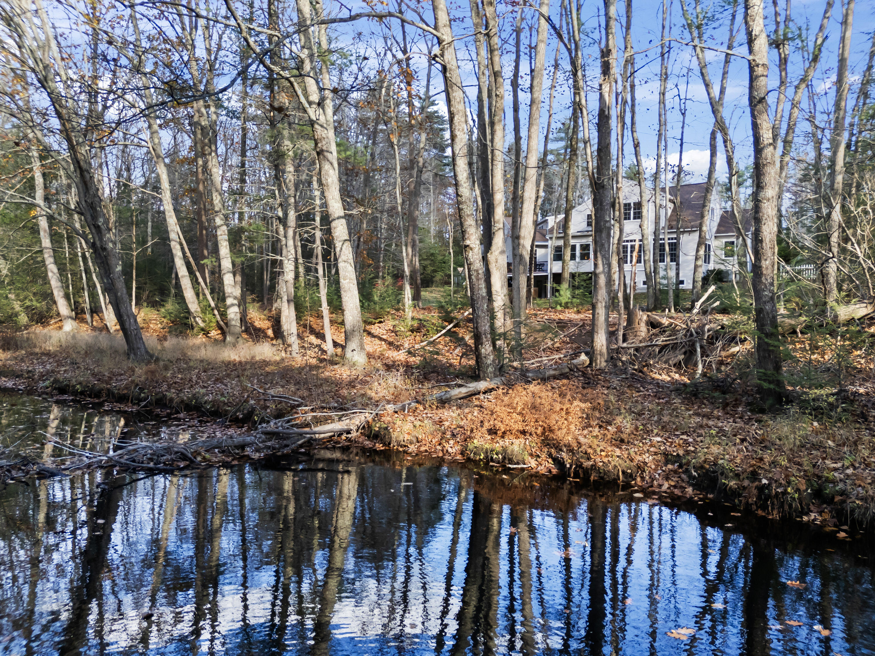 Ogunquit, Maine, 03907, United States, ,4 BathroomsBathrooms,Residential,For Sale,1830801