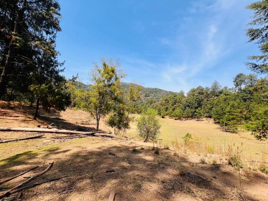 Valle de Bravo, Estado de méxico, 51200, Mexico, 1 Bedroom Bedrooms, ,Residential,For Sale,1721616