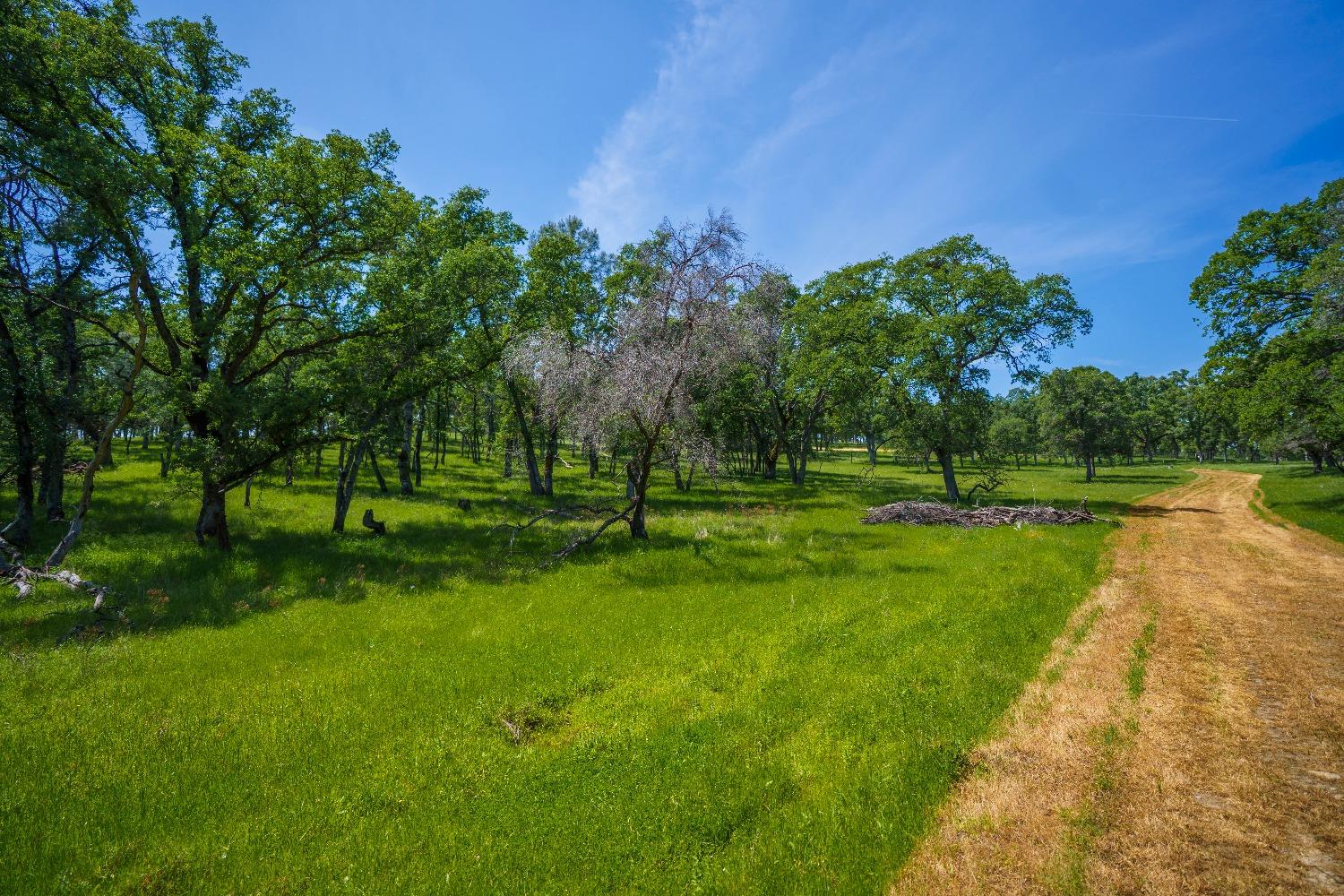Lincoln, California, 95648, United States, ,Land,For Sale,1784125