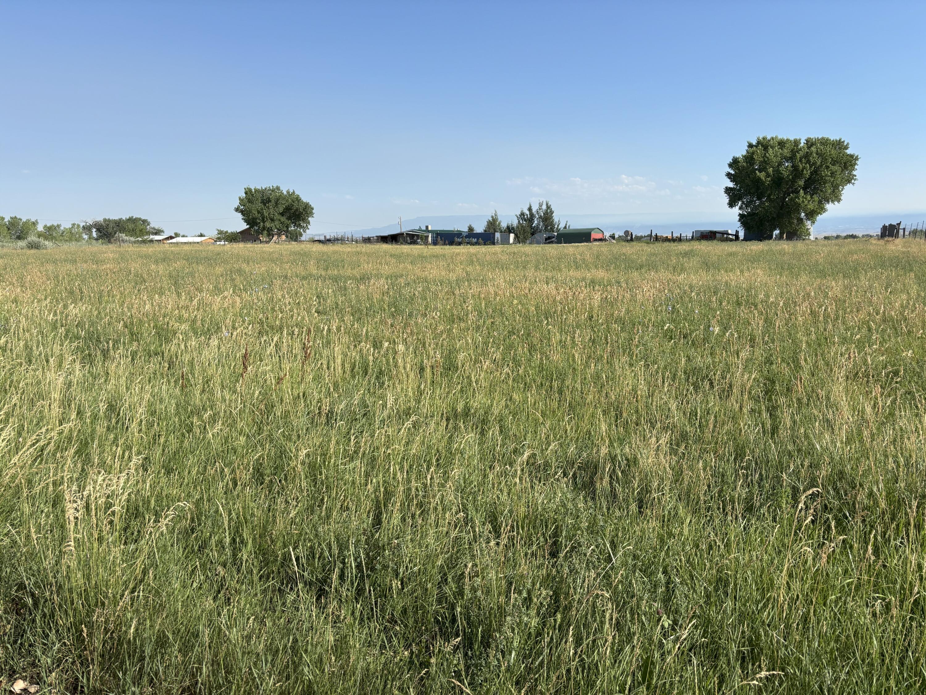Montrose, Colorado, United States, 3 Bedrooms Bedrooms, ,3 BathroomsBathrooms,Residential,For Sale,1792870