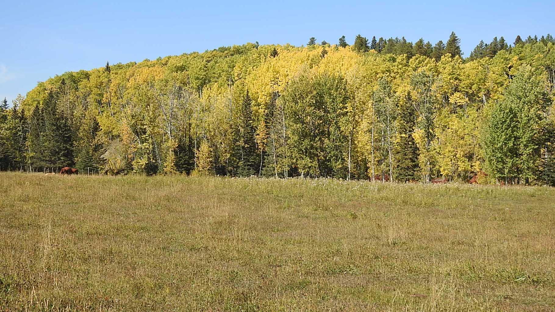 RURAL FOOTHILLS COUNTY, Alberta, T0L 1K0, CA, ,Residential,For Sale,1836944