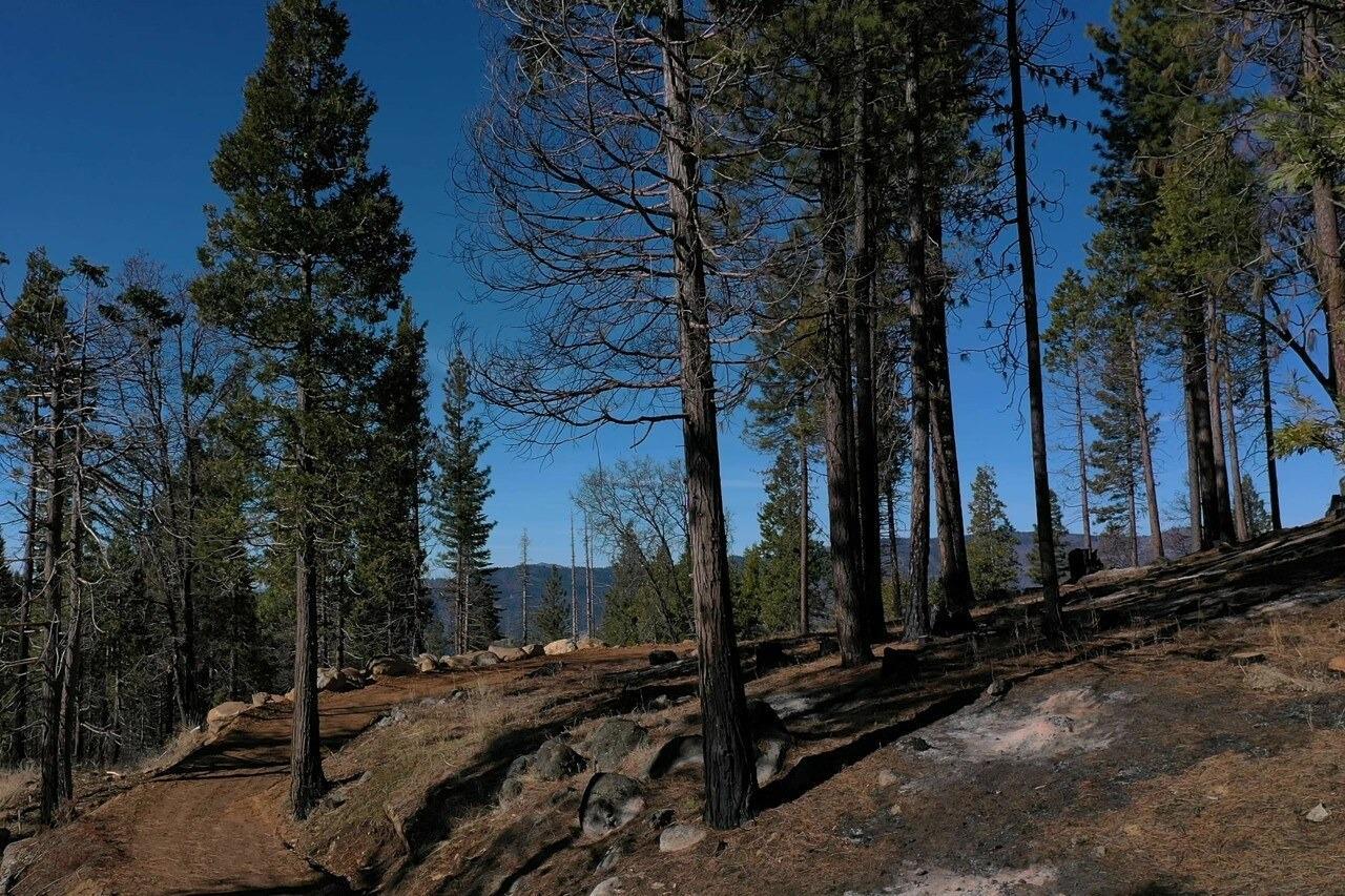Yosemite, California, 95389, United States, ,Residential,For Sale,1791701