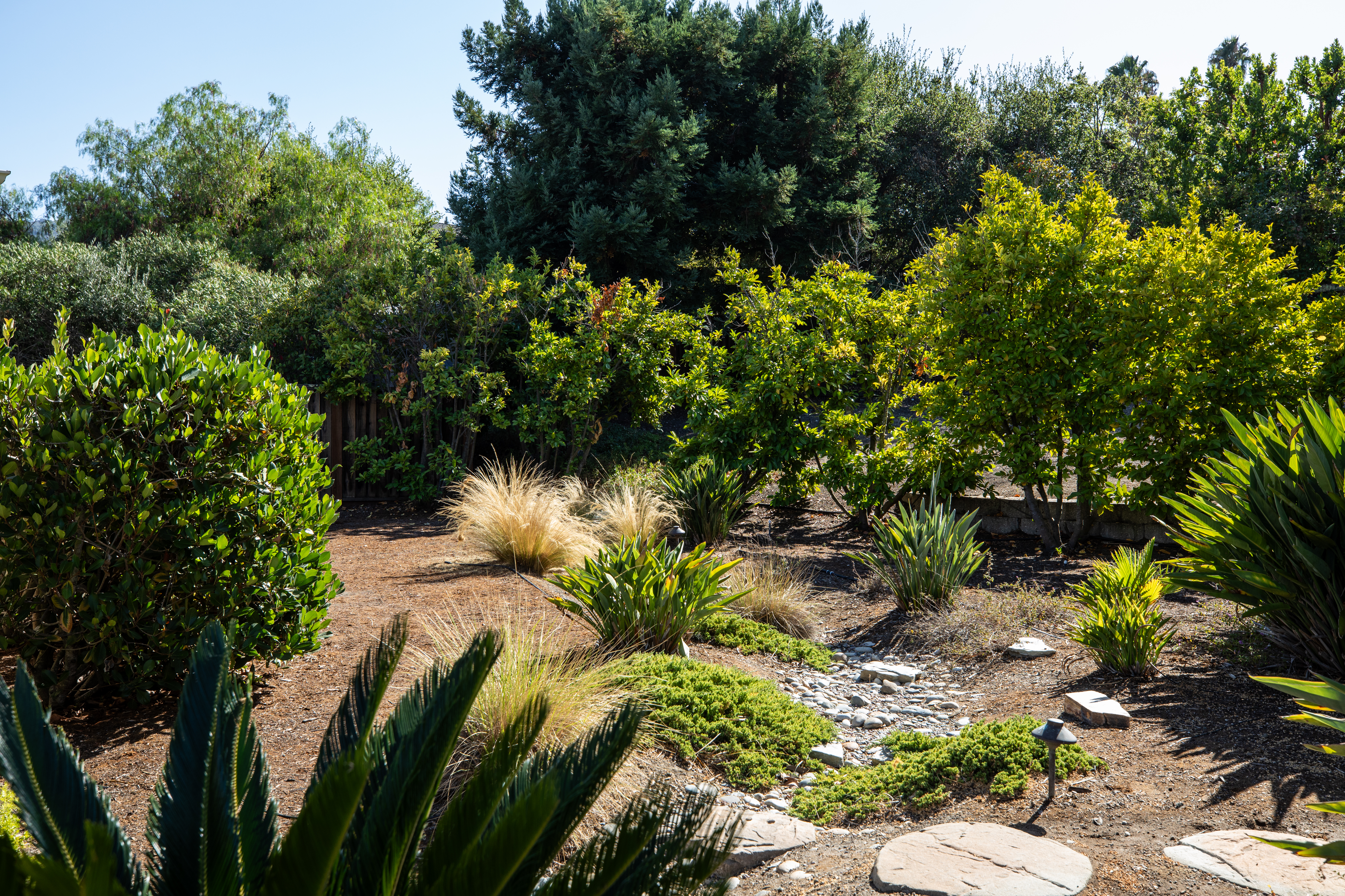  A Private Los Altos Hills Retreat, Designed for Living - 物件實景