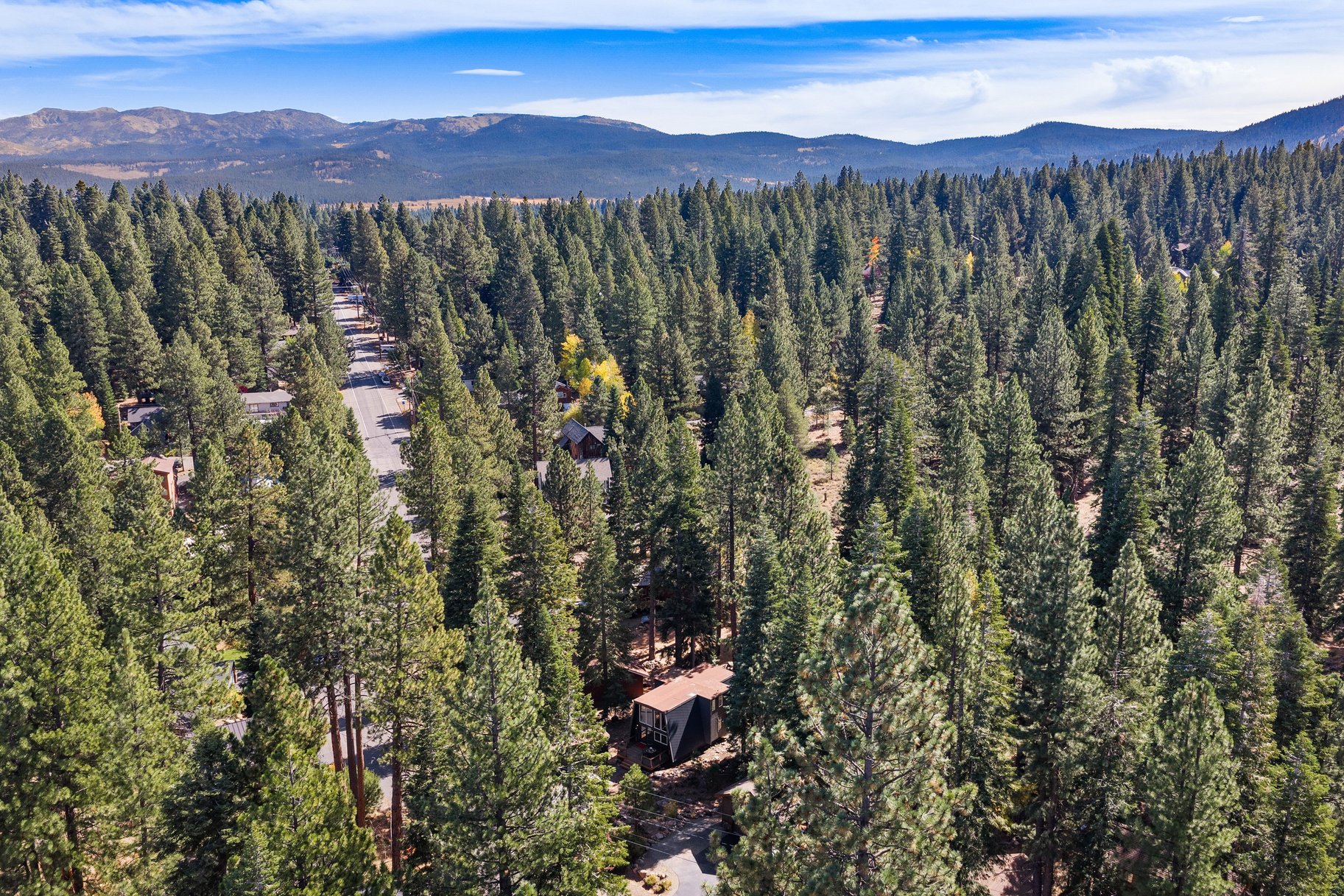  Modern Mountain Retreat Backing to Forest Service Land - 物件實景