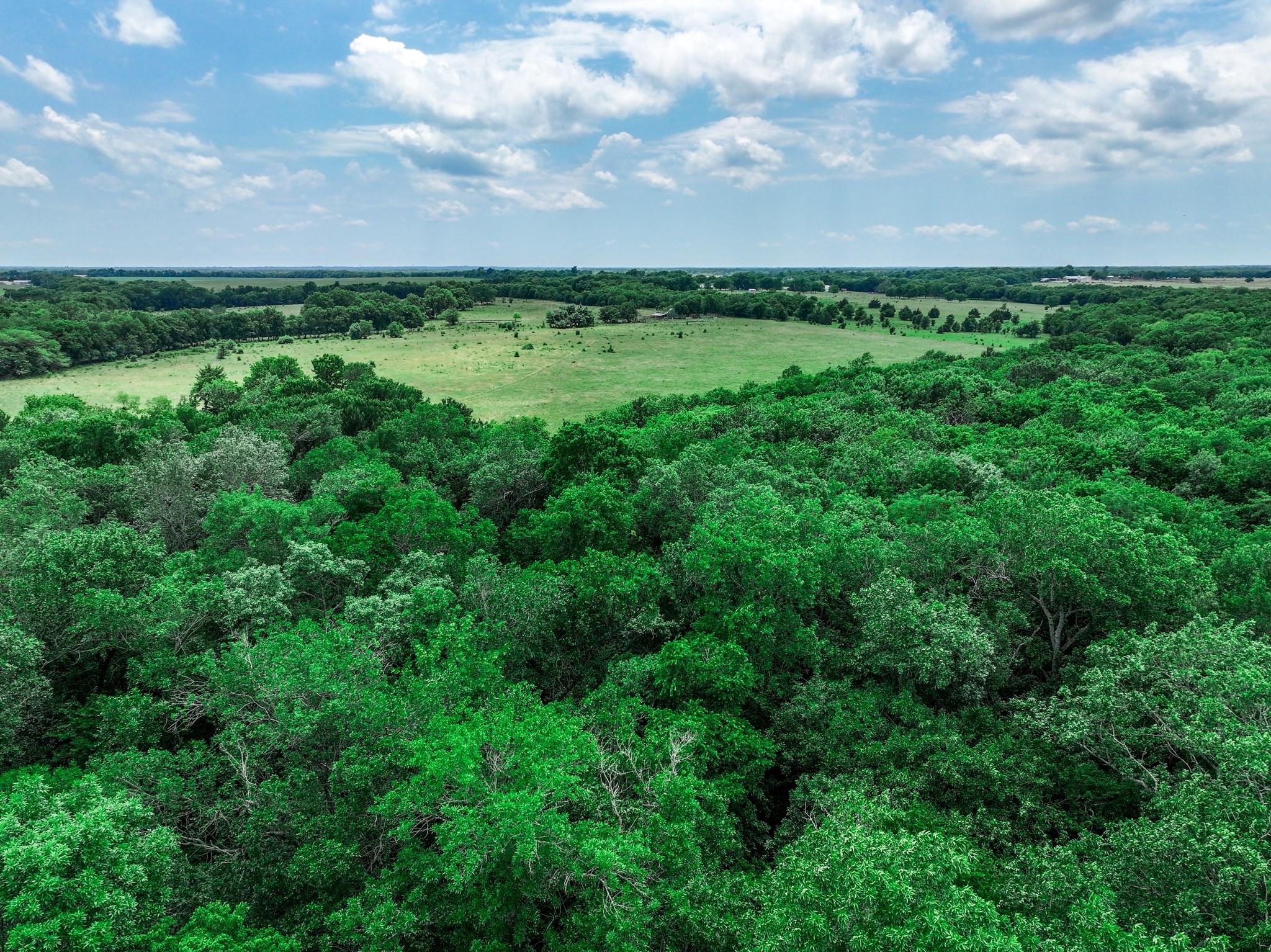 Commerce, Texas, 75428, United States, ,Land,For Sale,1980085