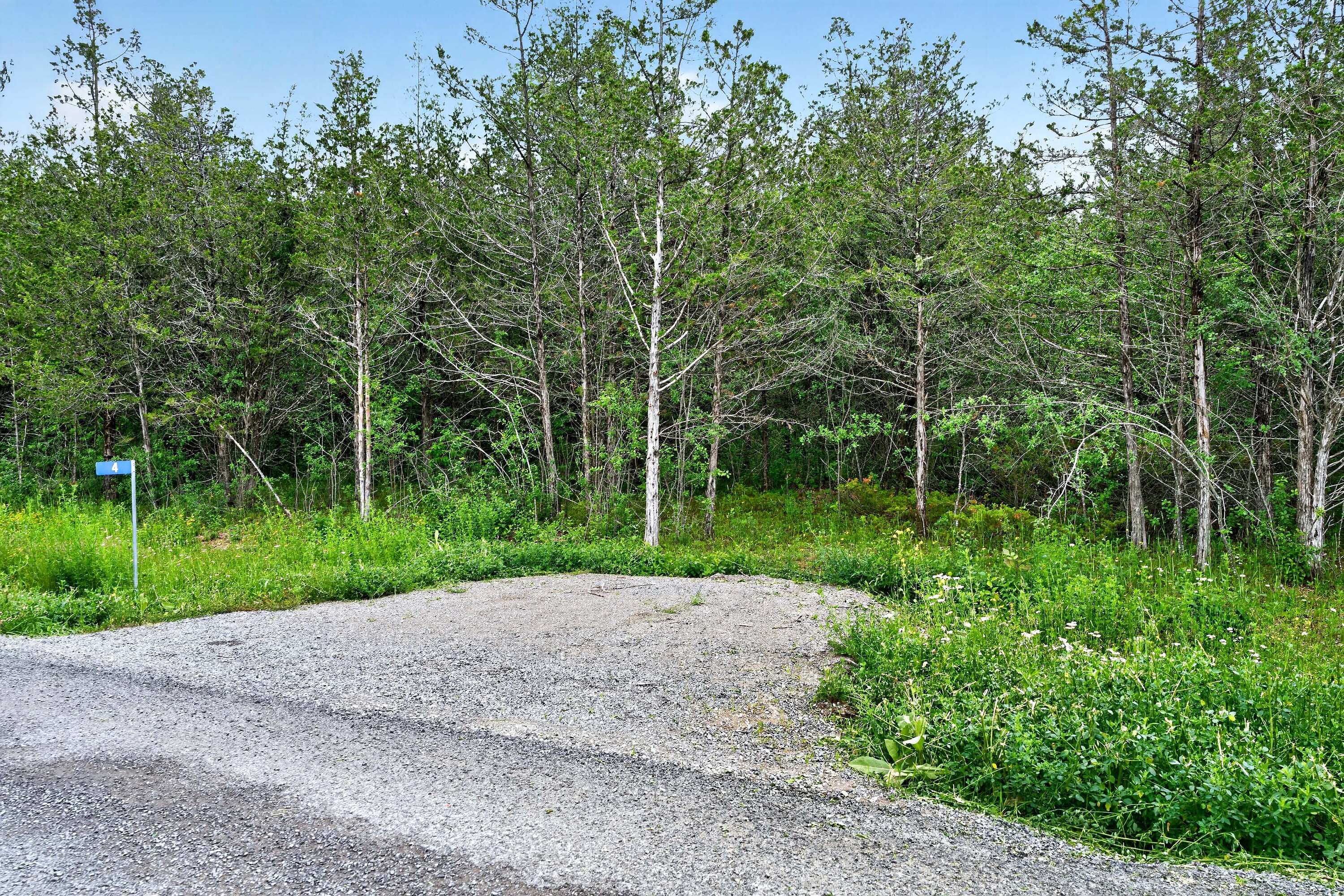  Trent Hills, Eastern Ontario - 物件實景