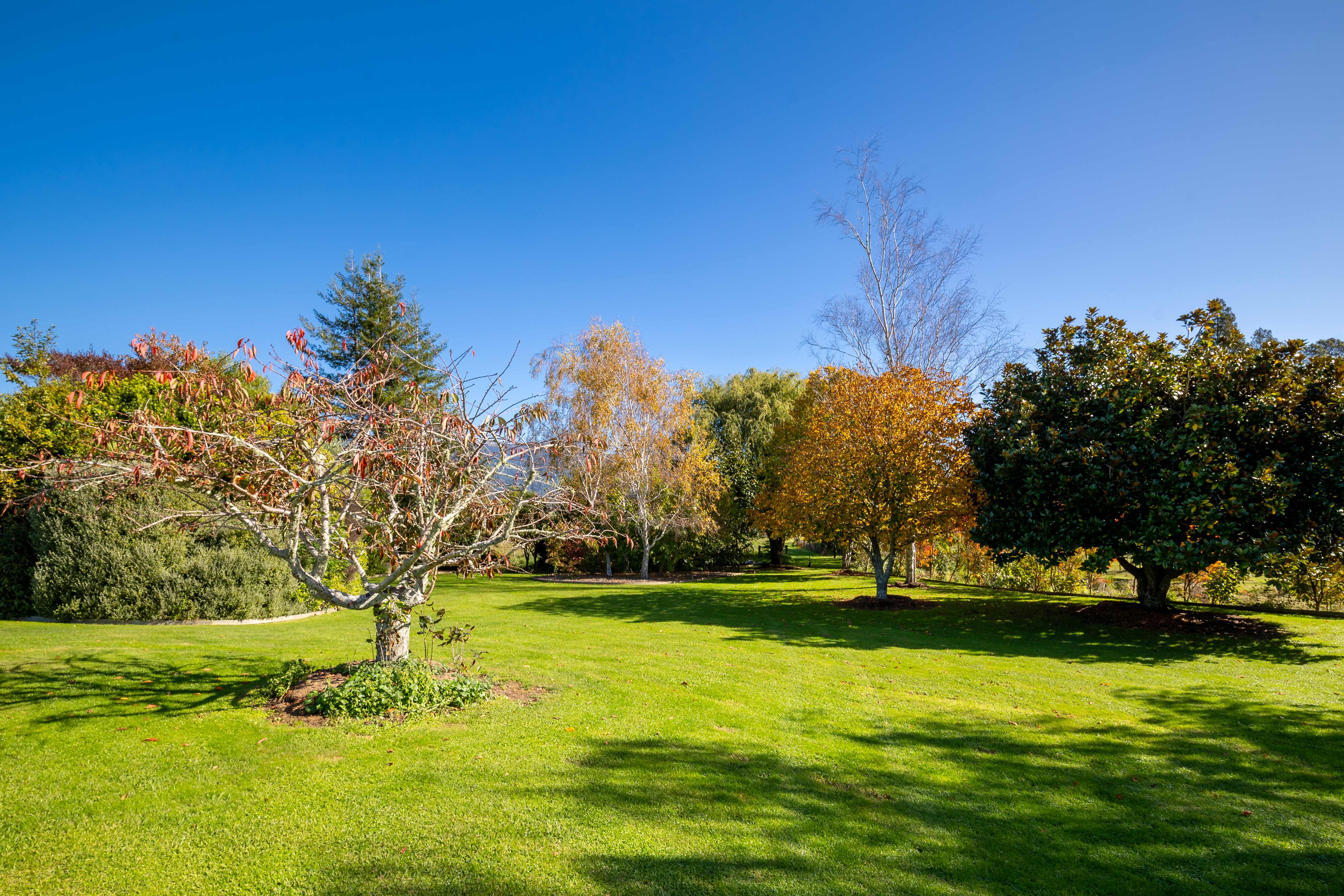 177 Patons Rock Road, Patons Rock, Takaka - 物件實景