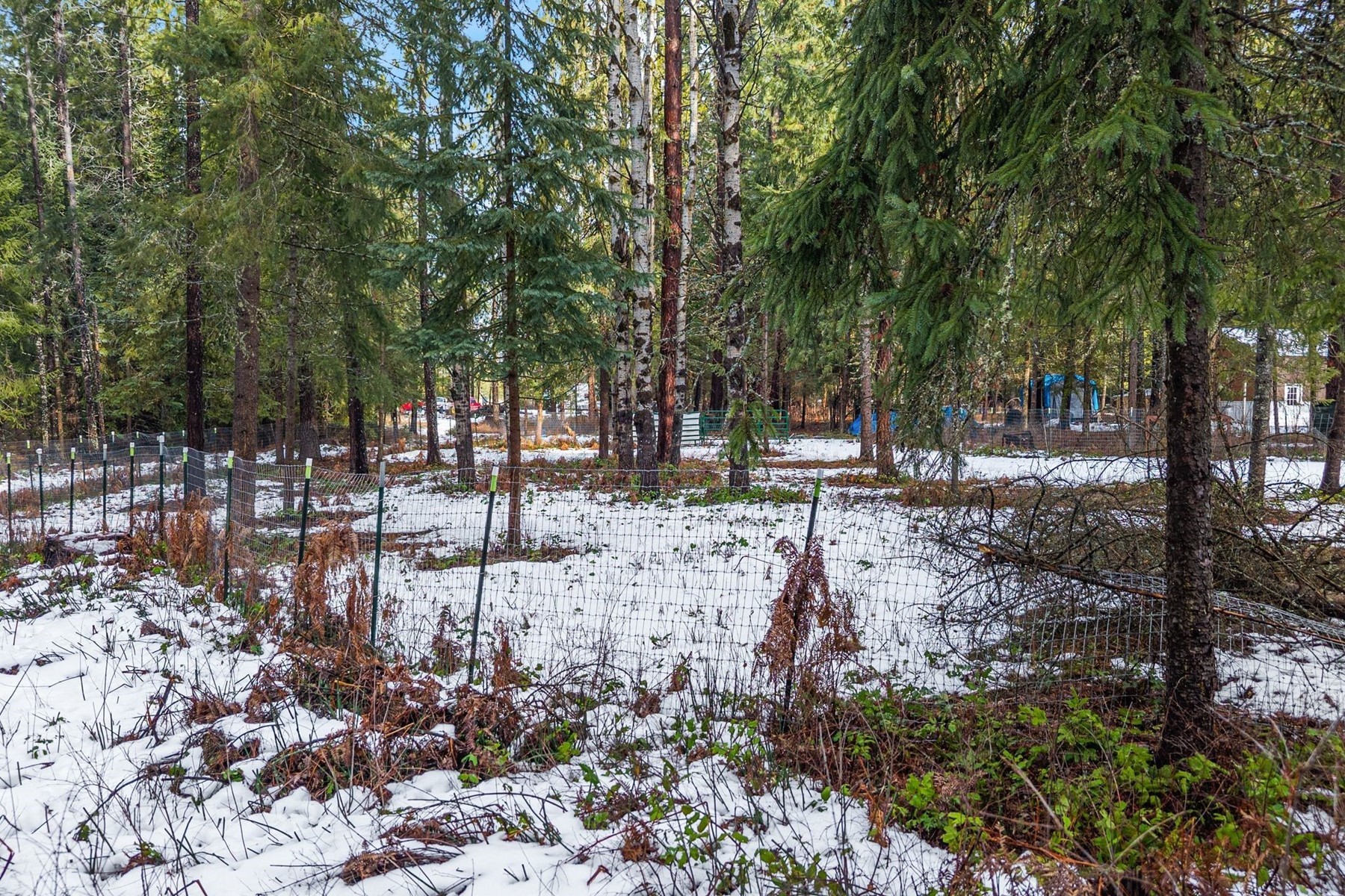  Charming Country Home on 10 Acres - 物件實景