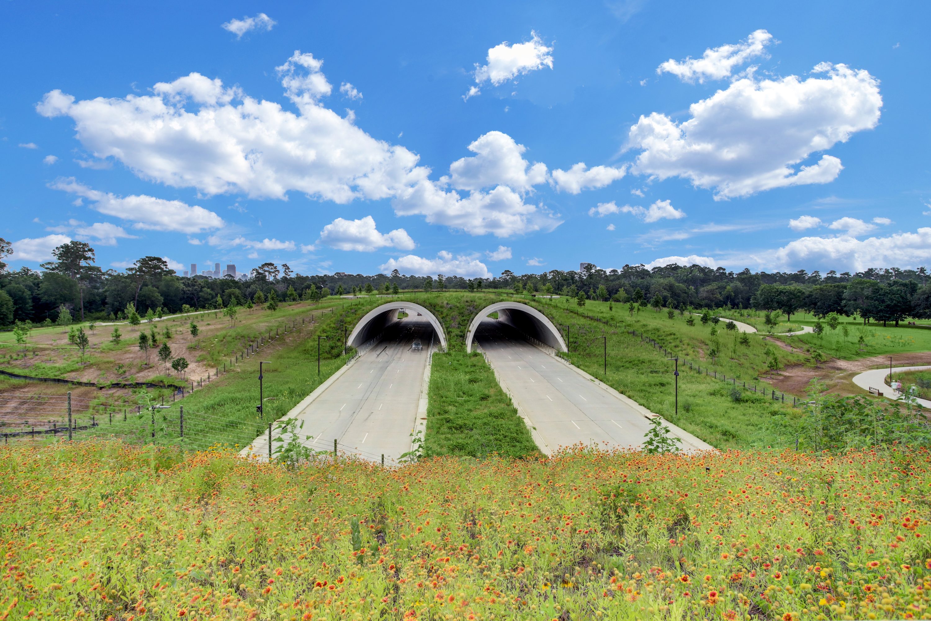  6227 Haskell Street - 物件實景