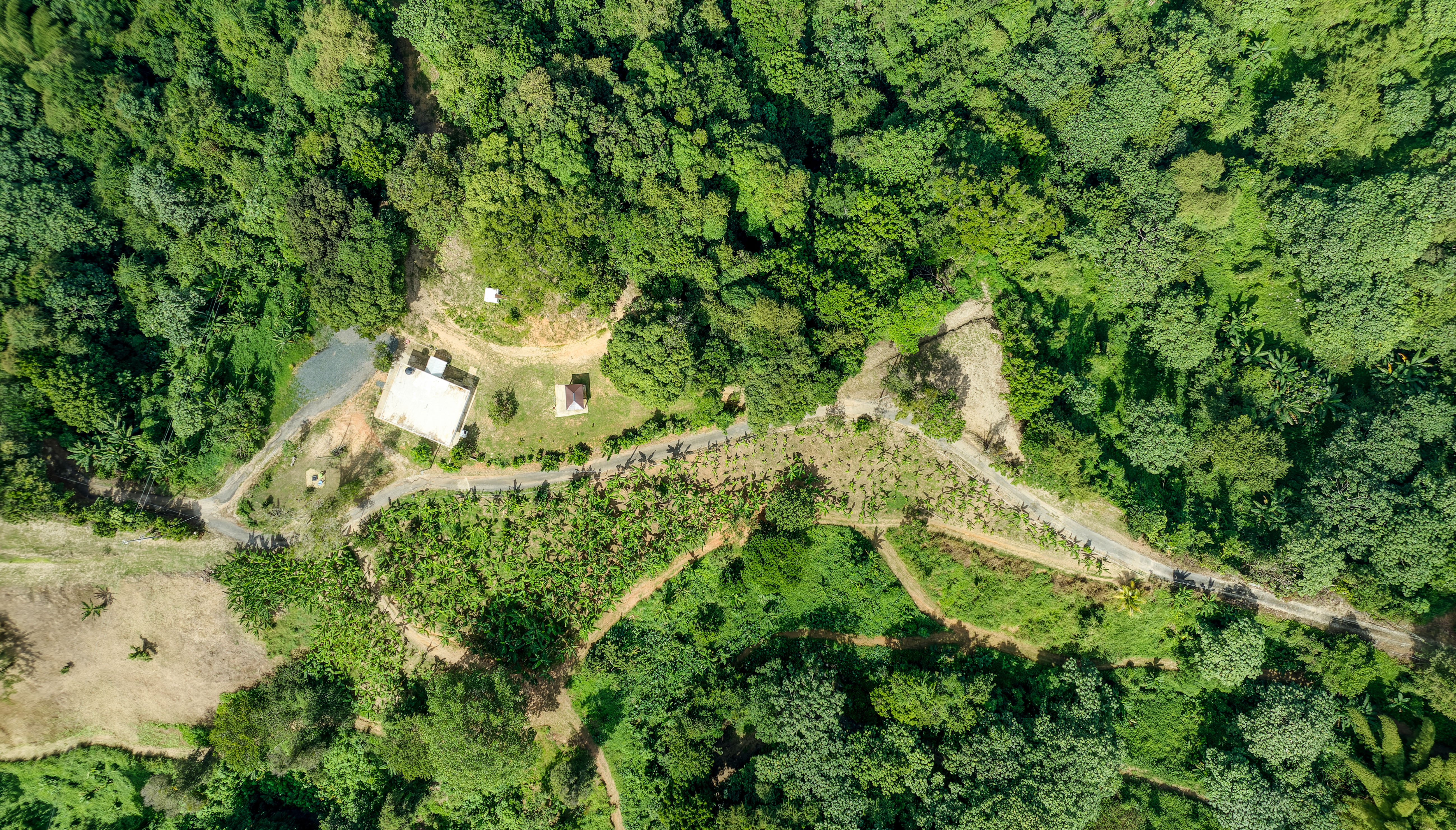  Exceptional Mountainside Acreage - 物件實景