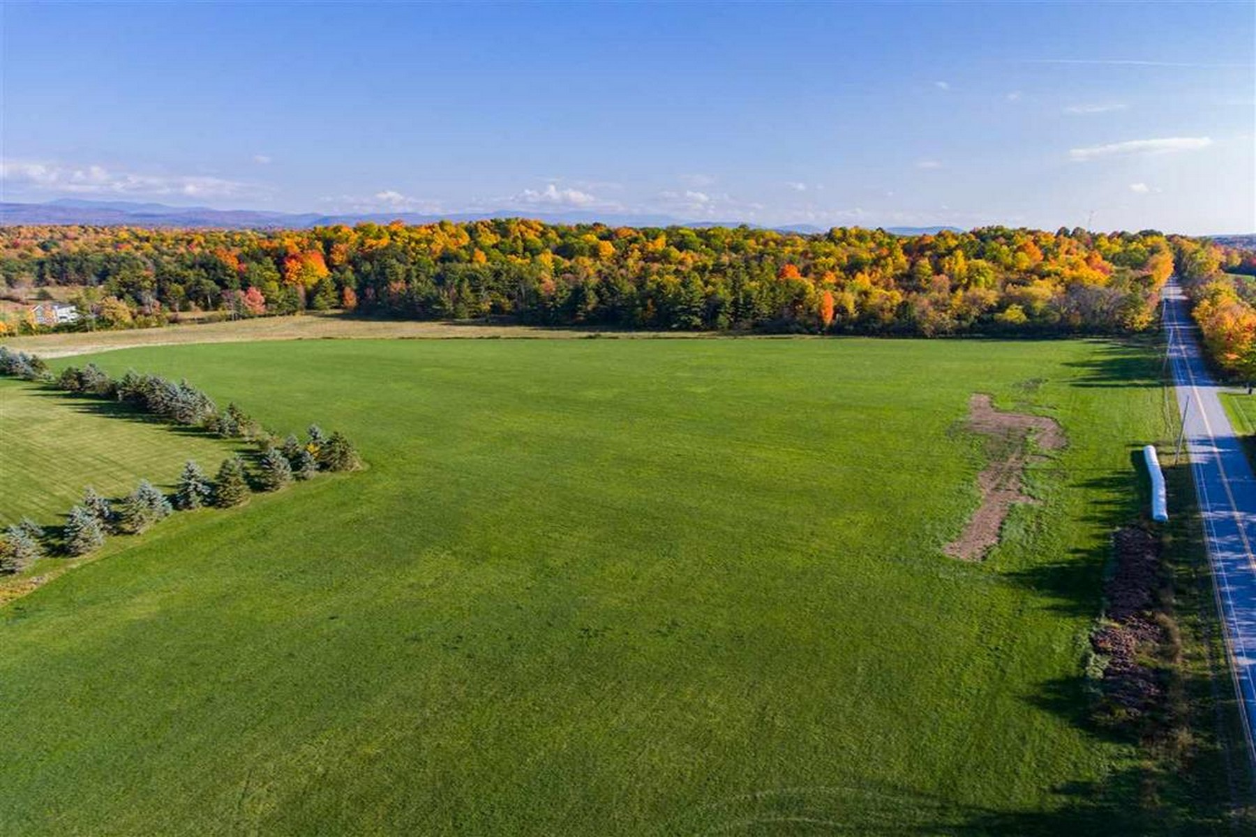  1555 Spear Street - 物件實景