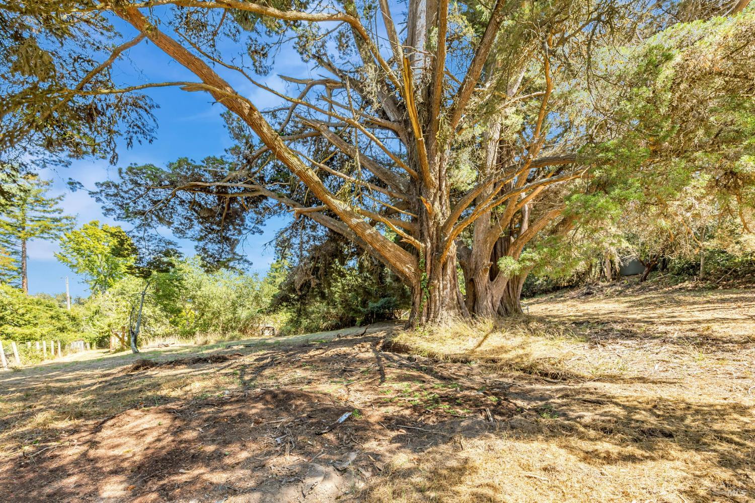 Sebastopol, California, 95472, United States, 3 Bedrooms Bedrooms, ,3 BathroomsBathrooms,Residential,For Sale,1903540