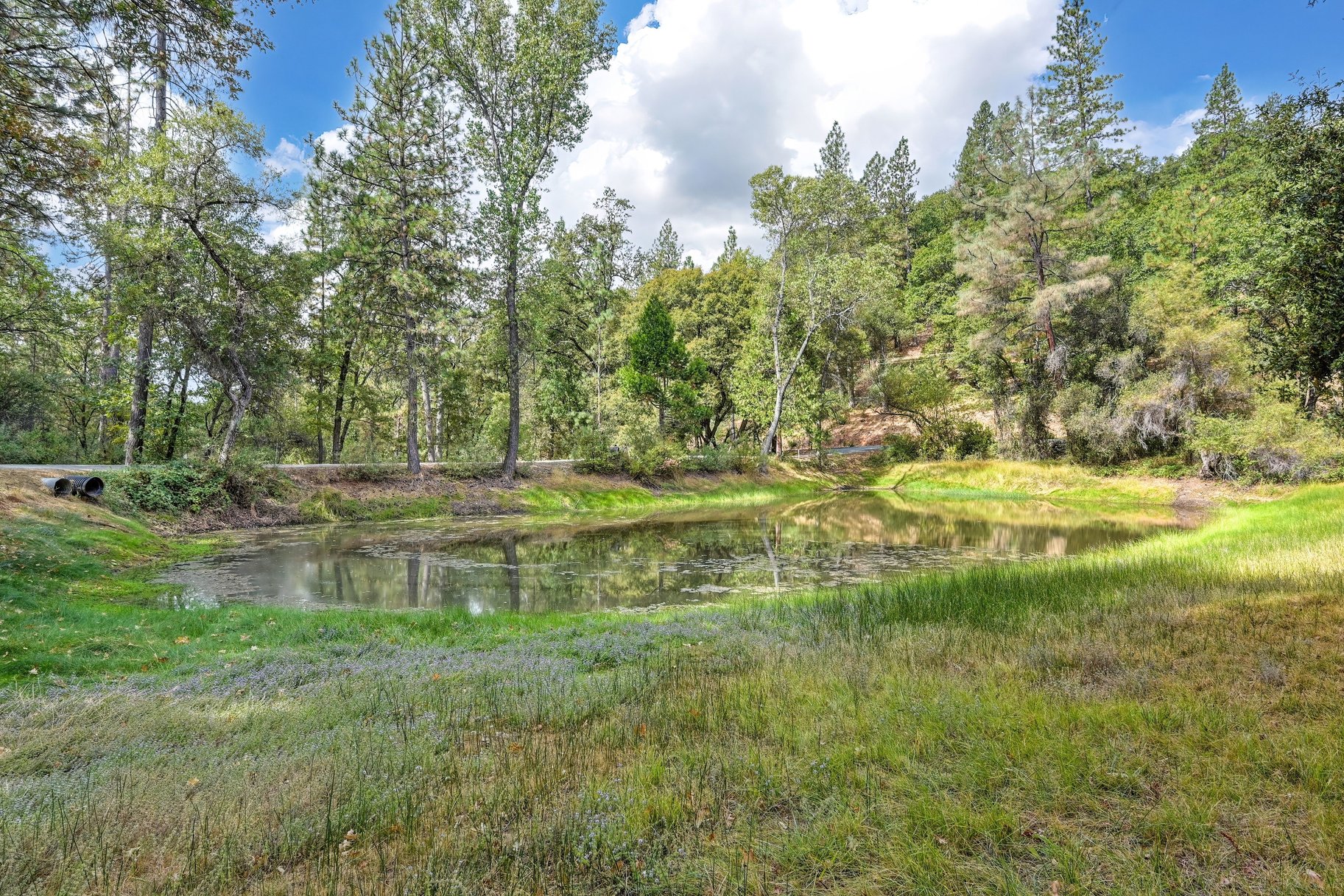  Spacious Grass Valley Country Property, 5 acres, shop and pond - 物件實景